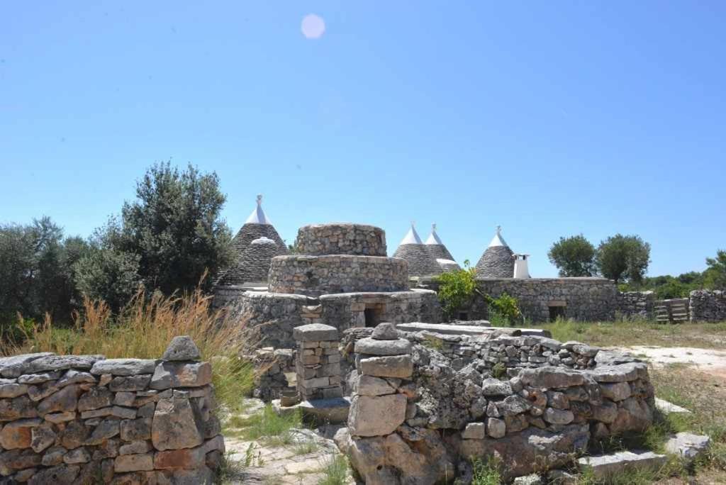 Photo 36