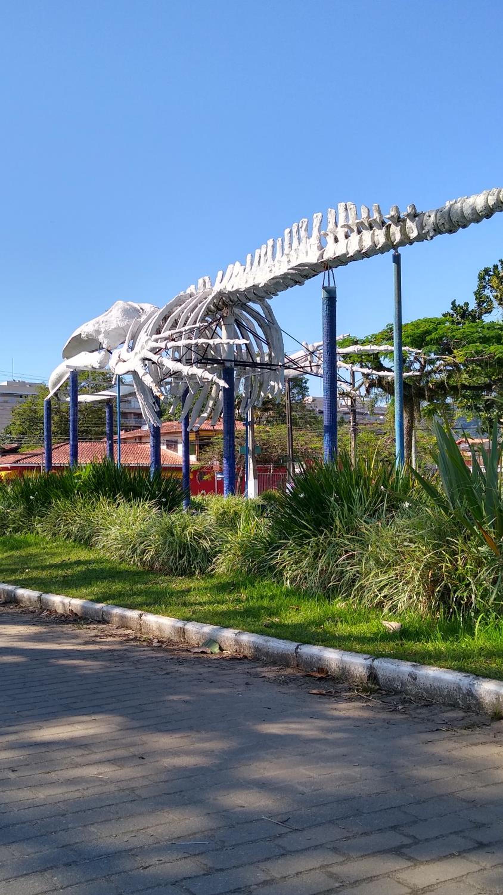 casa com piscina