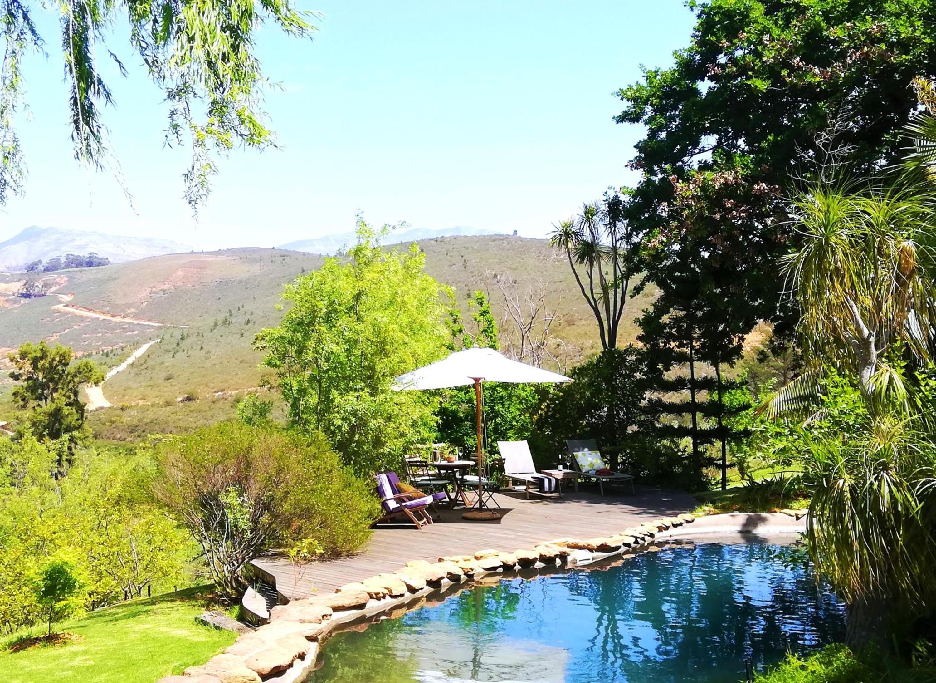 Porcupine Hills Olive and Guest Farm view 3