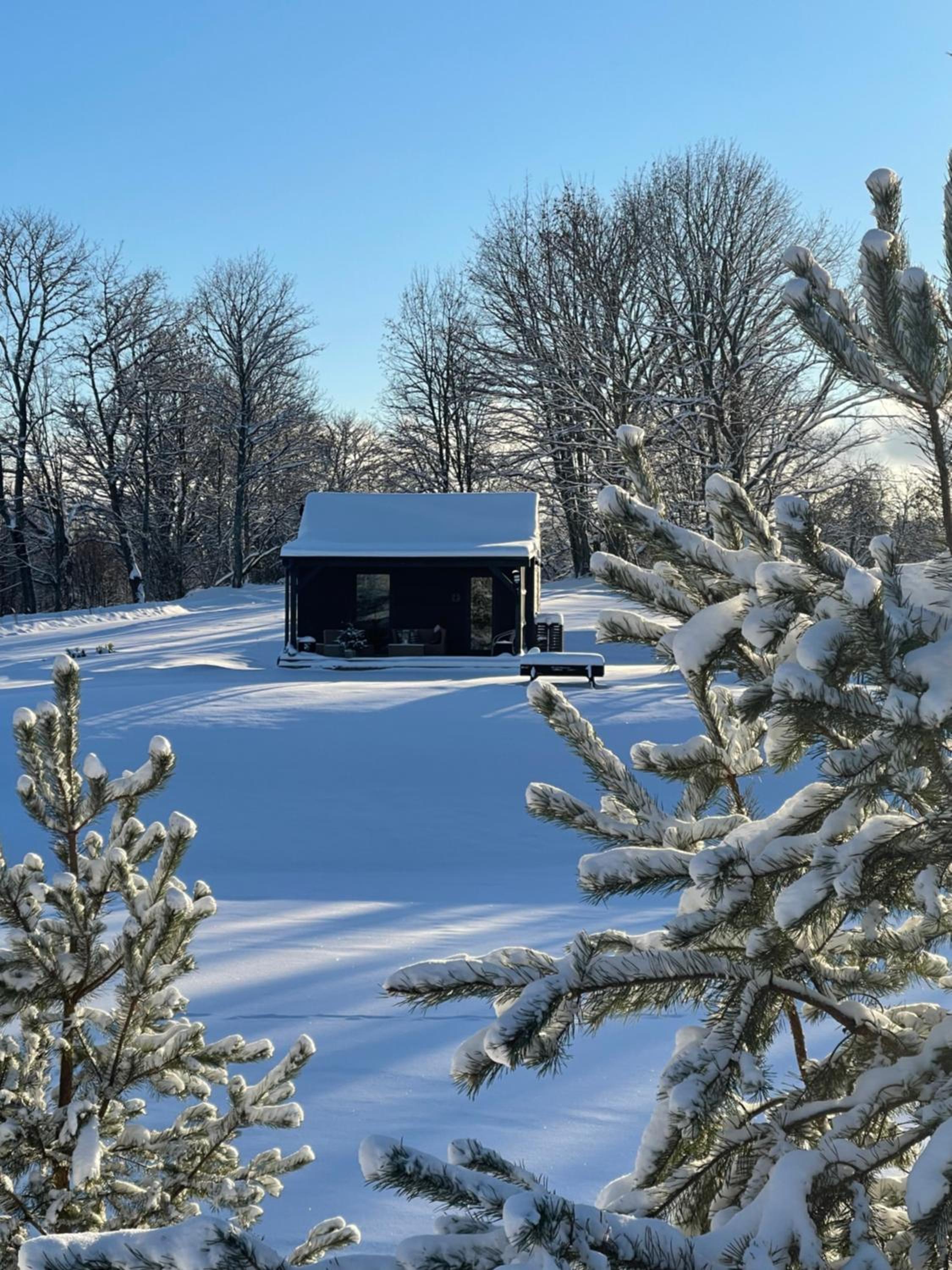 Photo 36