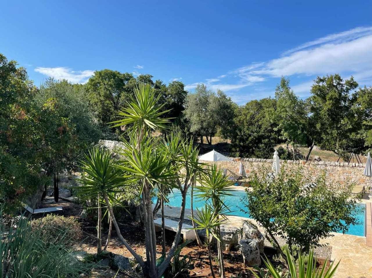 La Piazzetta dei Trulli view 5