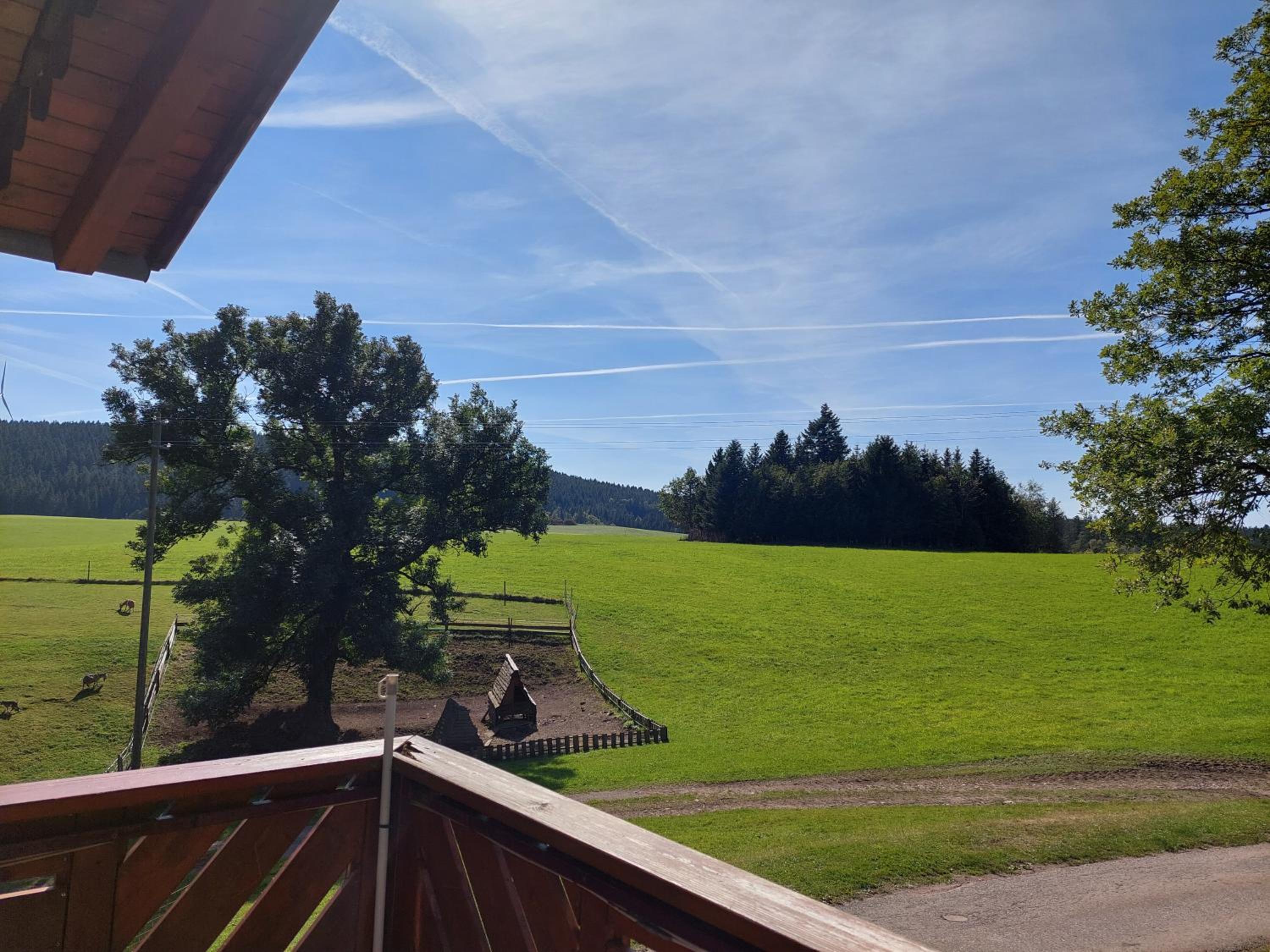 Urlaub an der Grenze