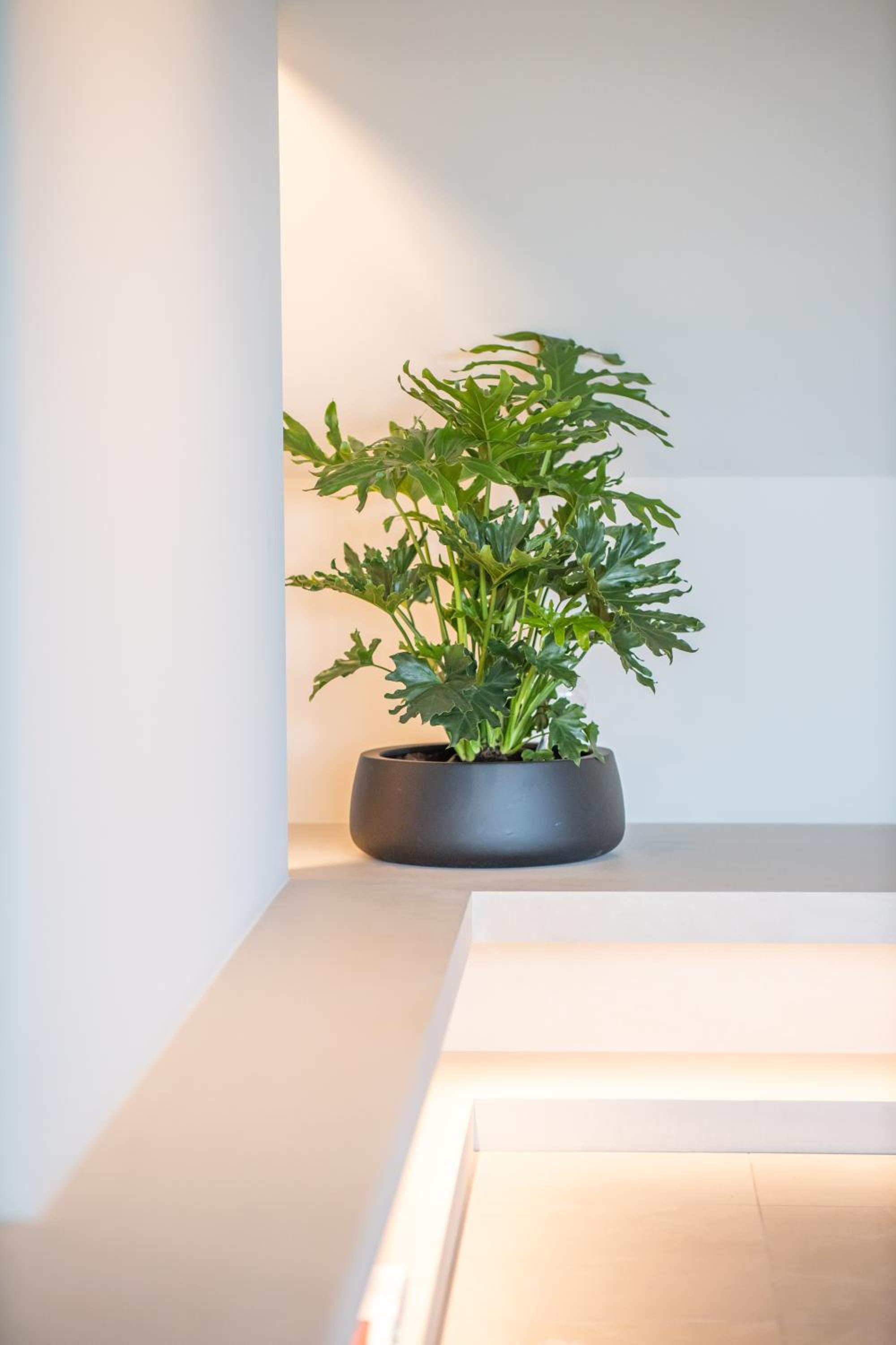 The Penthouse Nami, Branding, Ultra Luxurious Japanese Design Sea View