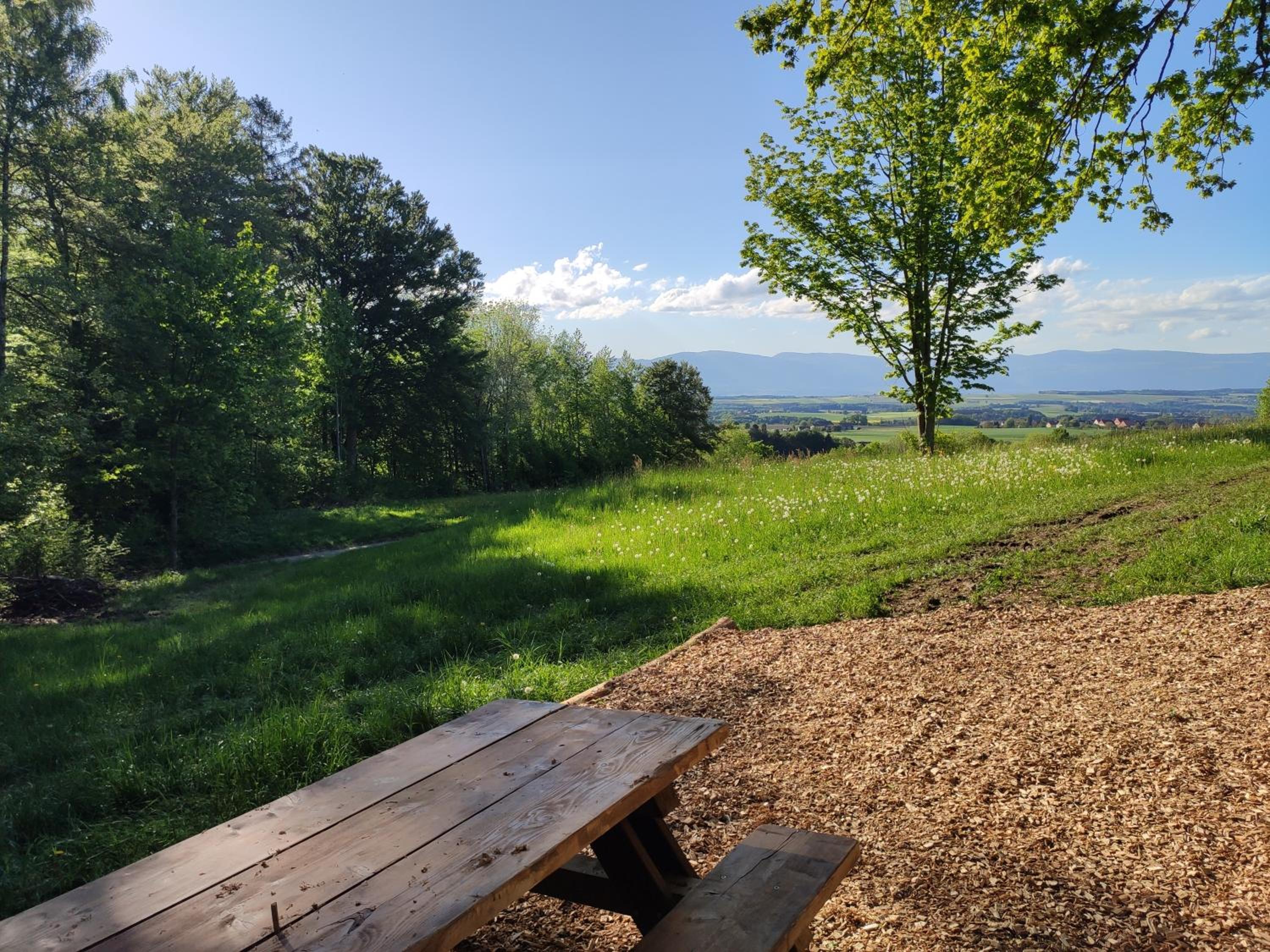 L'essentiel view 4