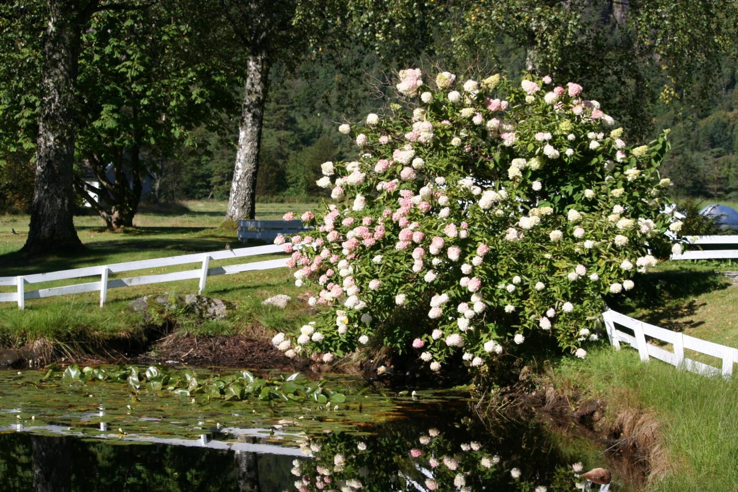 Kvåstunet