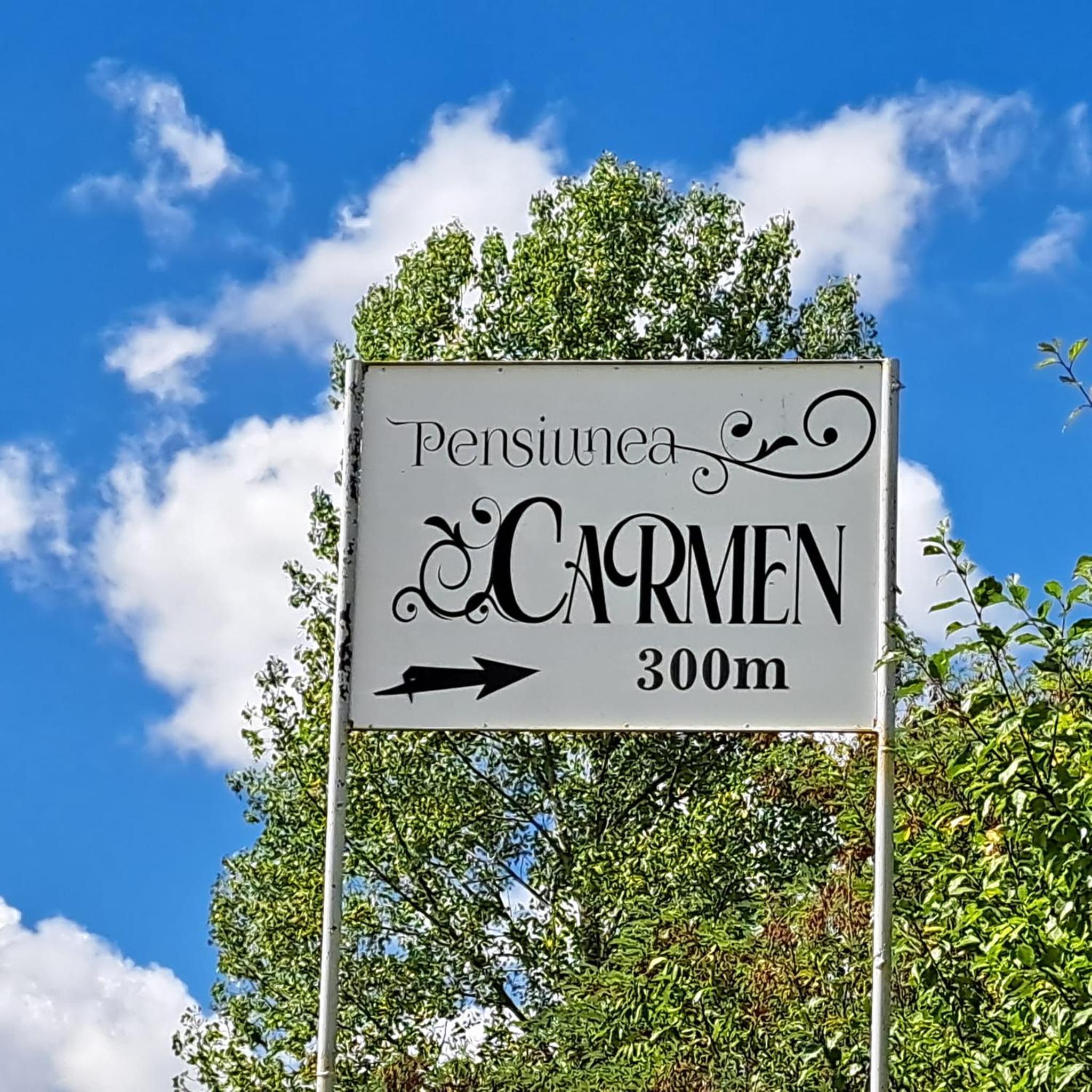 Pensiunea Carmen
