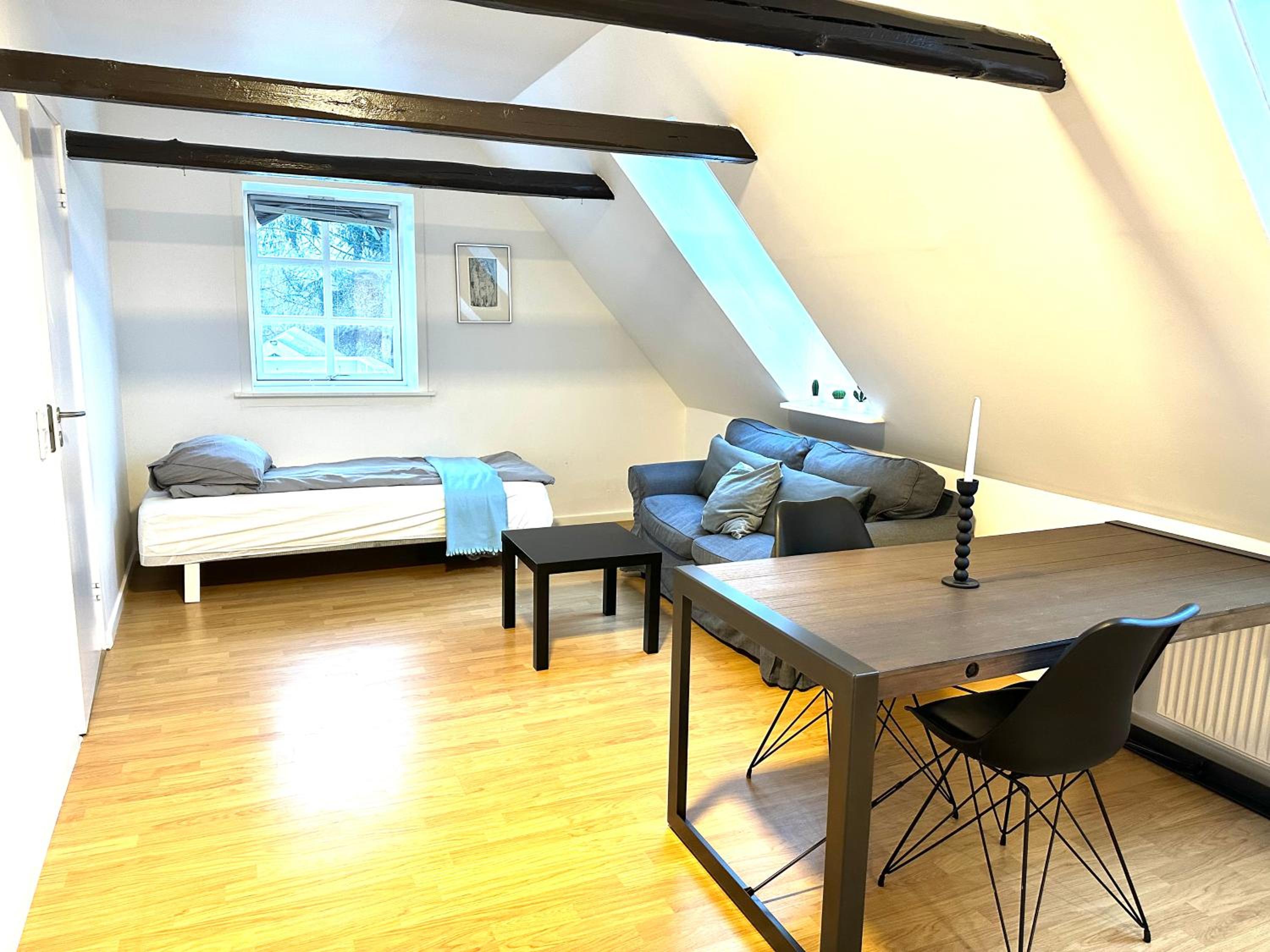 Cozy one bedroom apartment near the sea