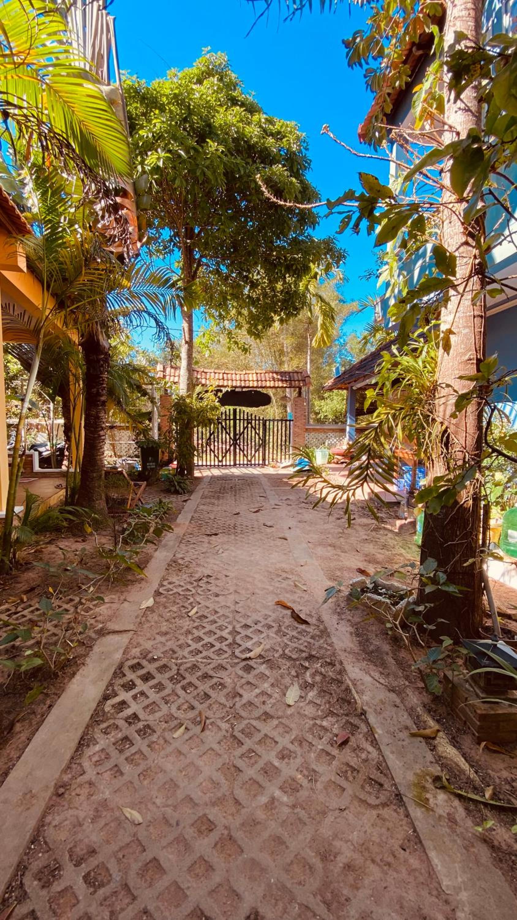 Duke Bungalow view 3