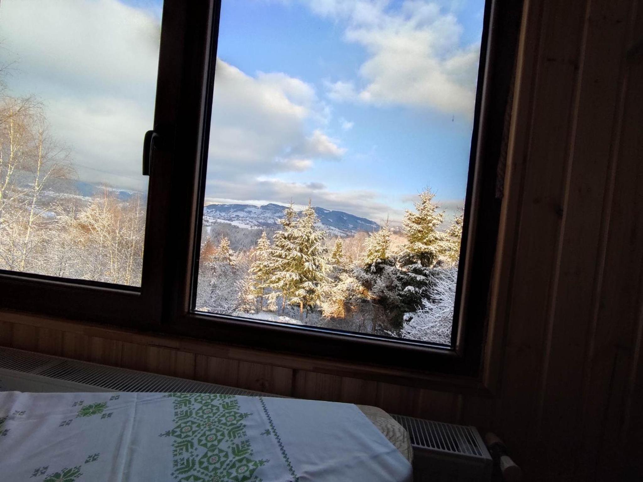 Cabana doi mesteceni