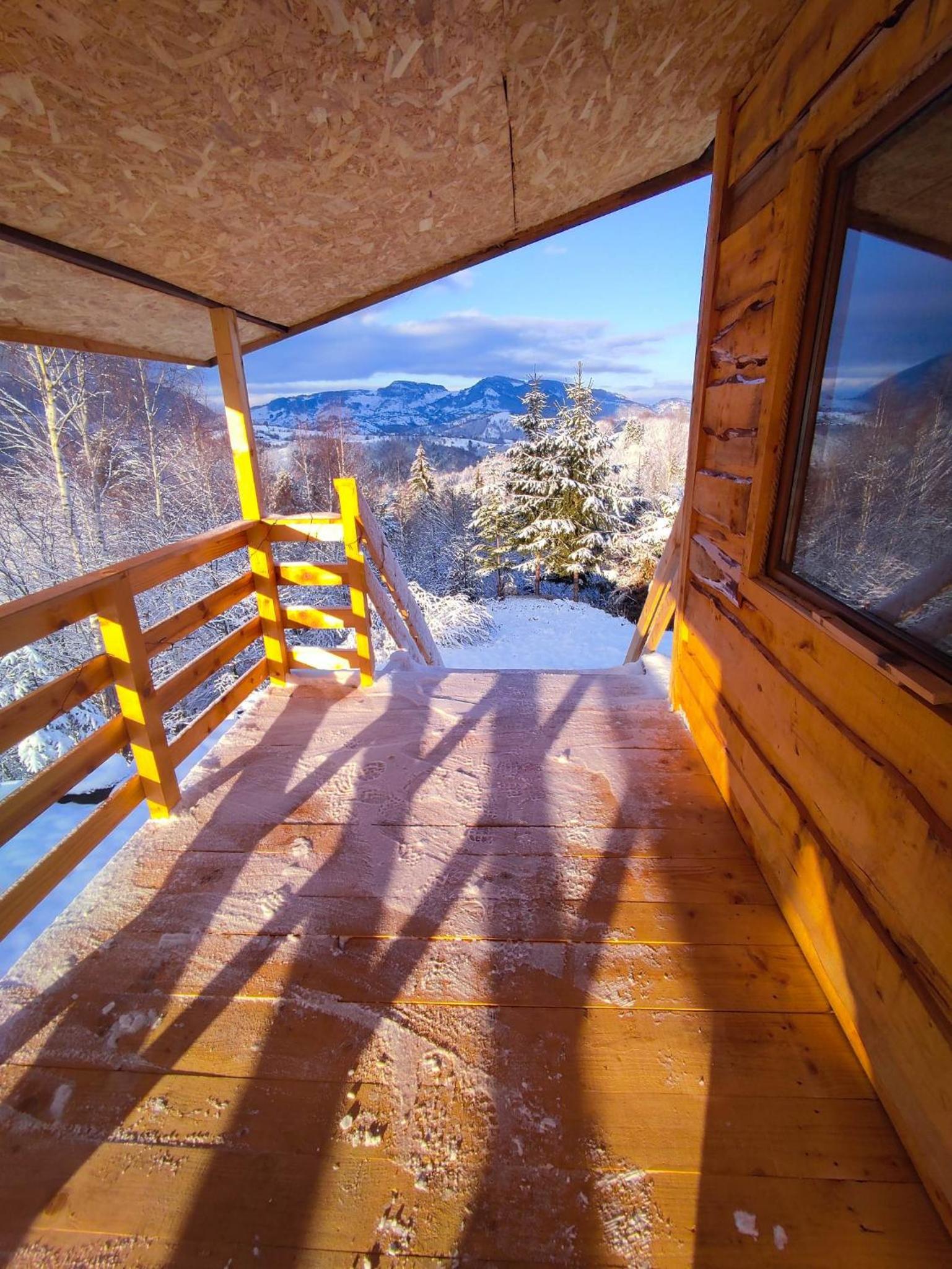 Cabana doi mesteceni