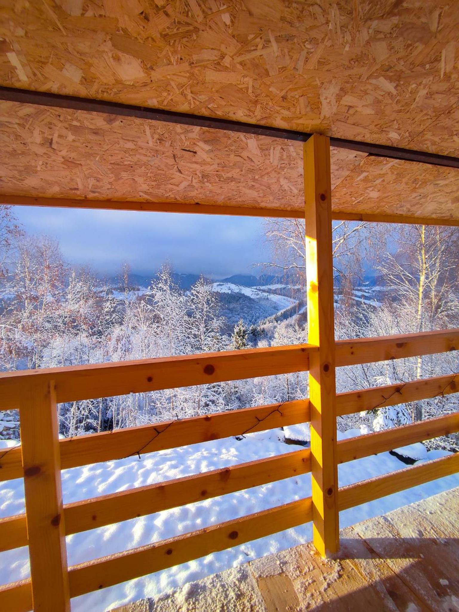 Cabana doi mesteceni