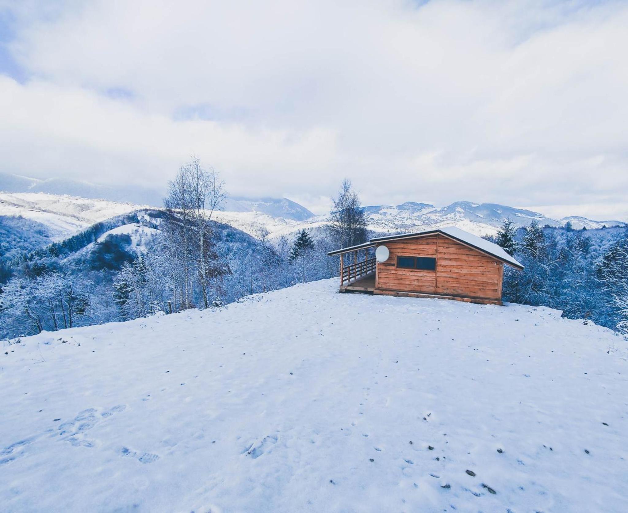 Cabana doi mesteceni