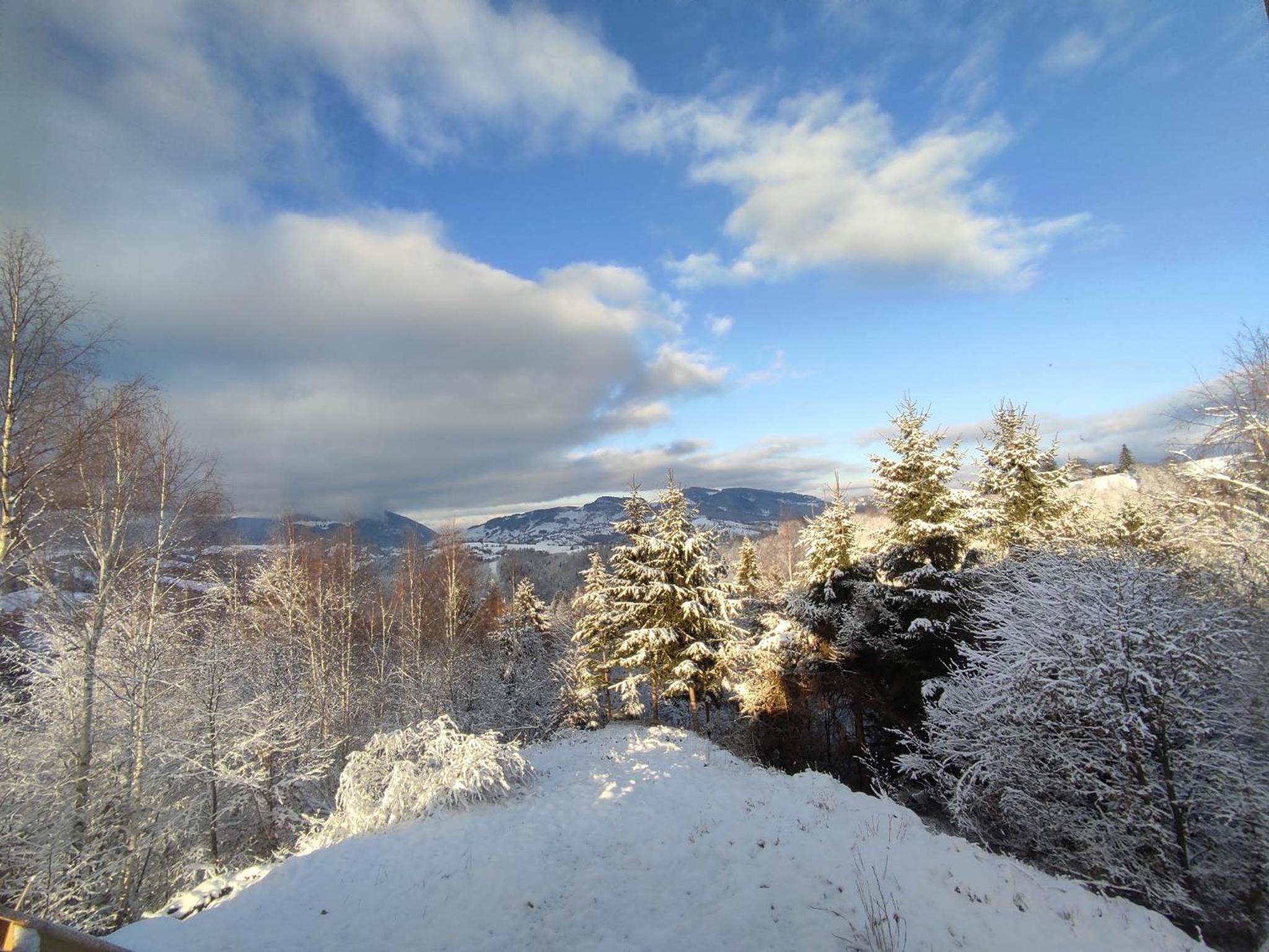 Cabana doi mesteceni