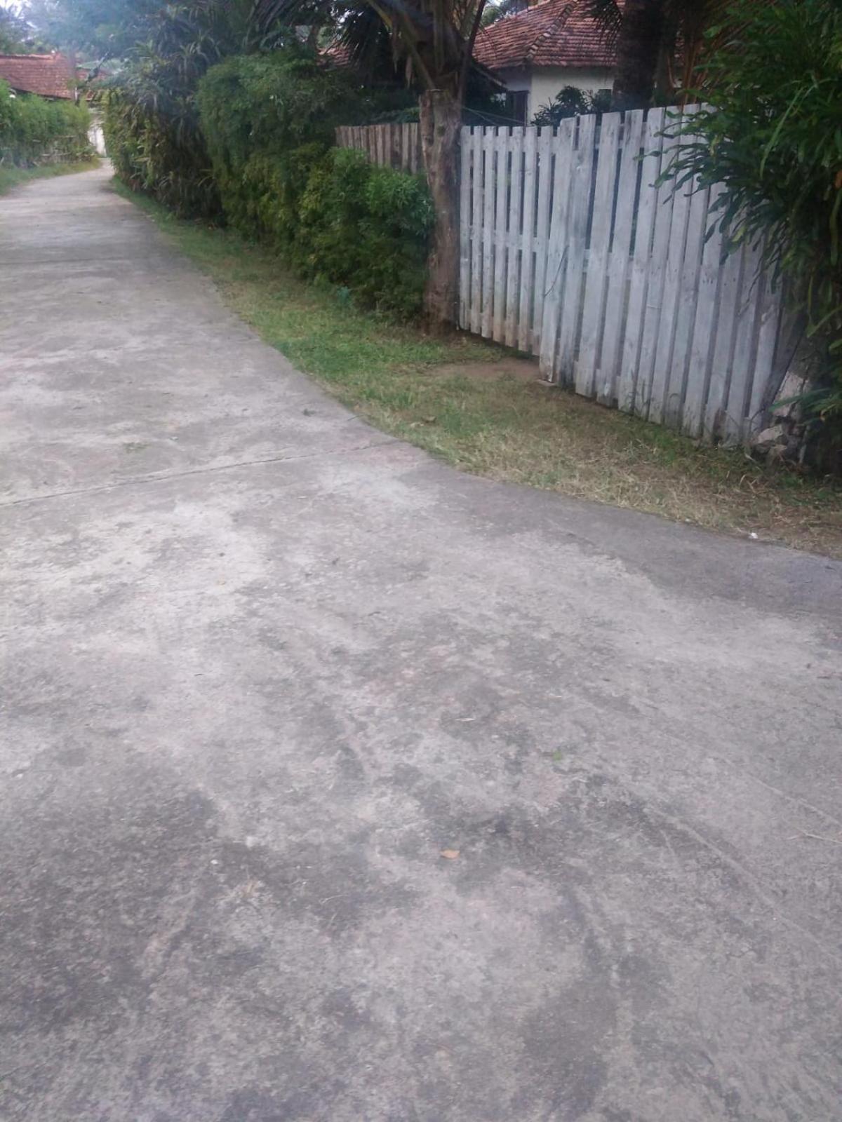 Photo 34