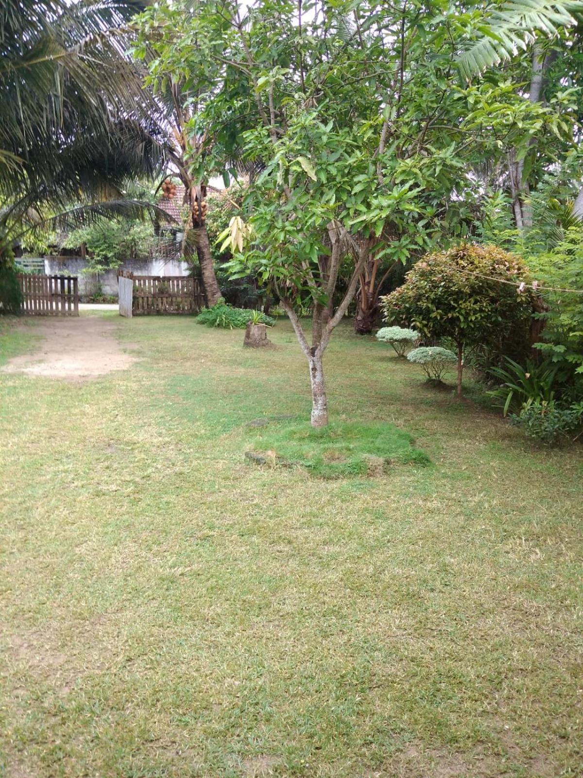 Photo 26