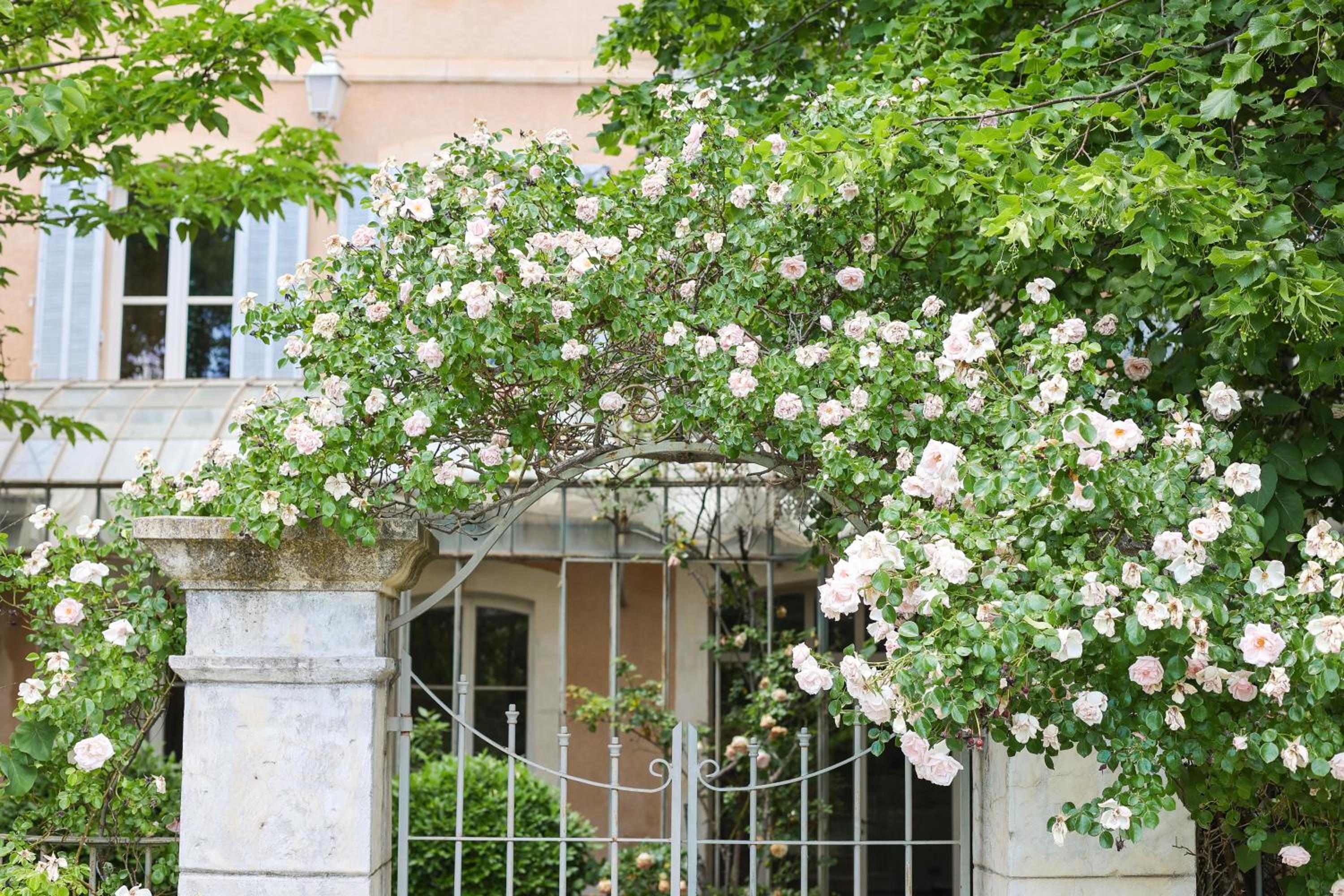 La Madone, photo 13