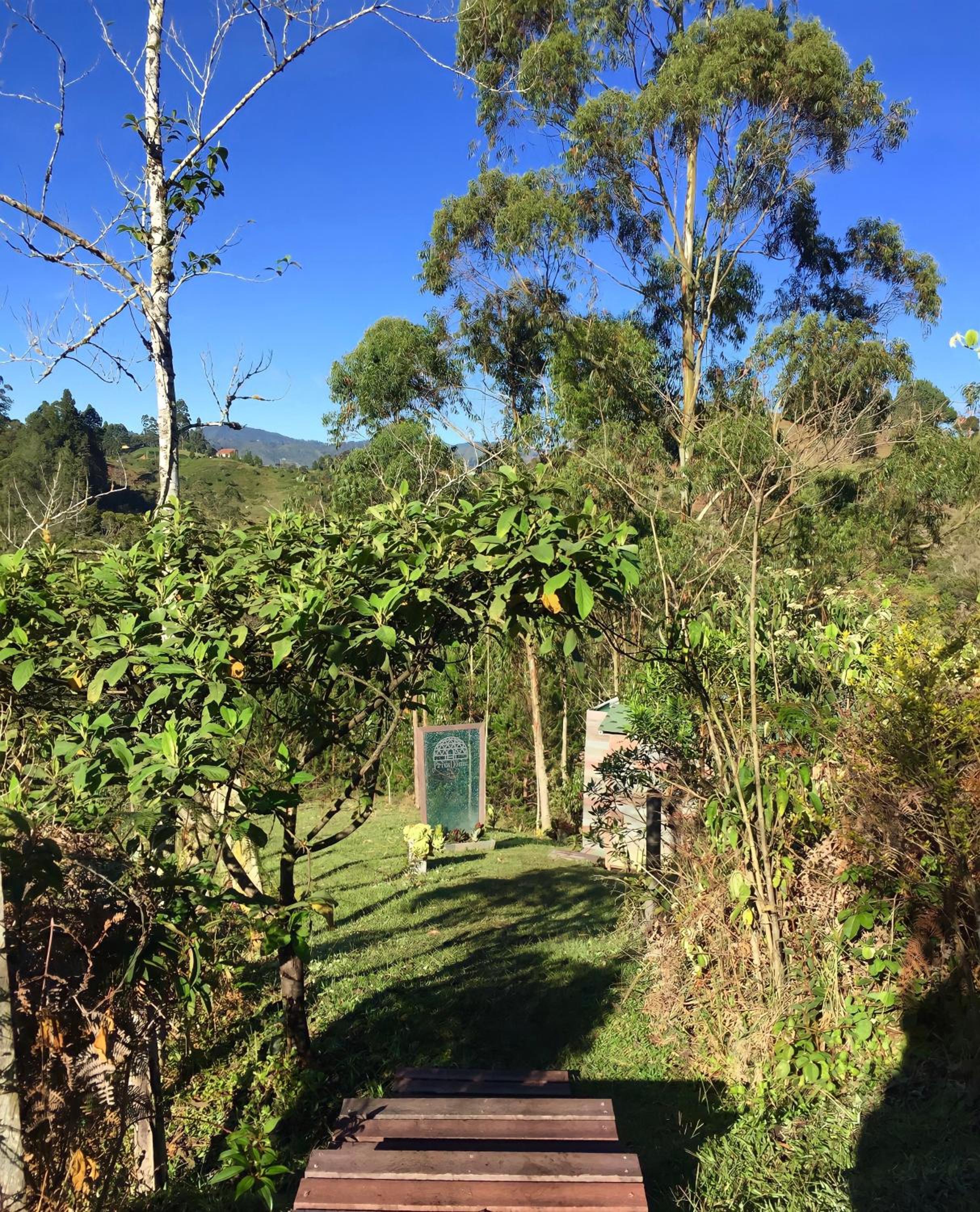 PrivaDome