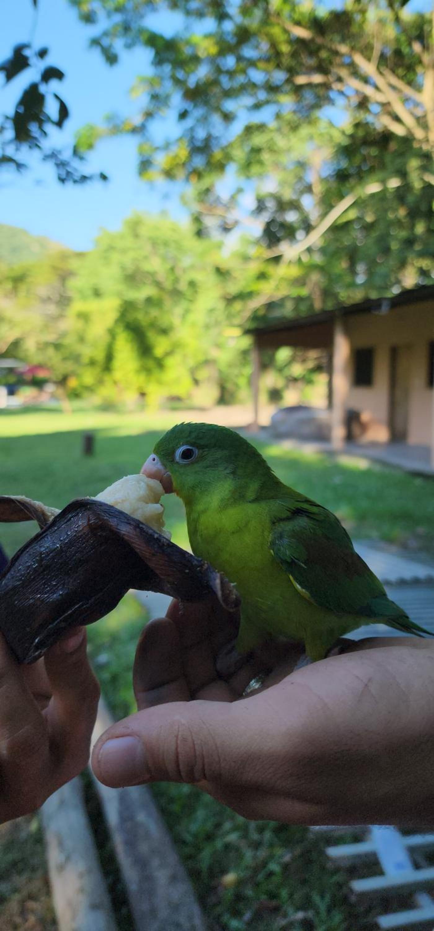 CisneCisneros