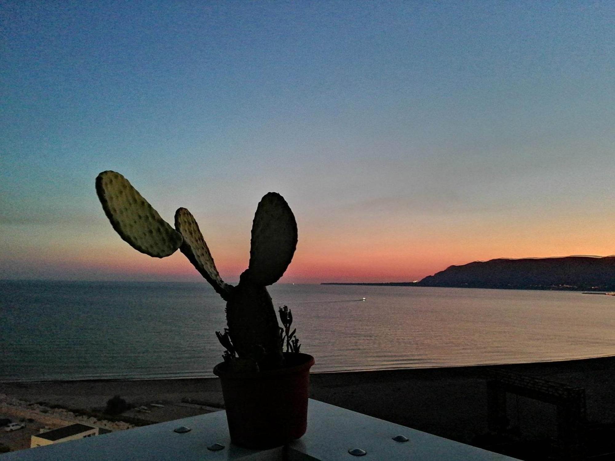 Appartamento Il Gabbiano view 2
