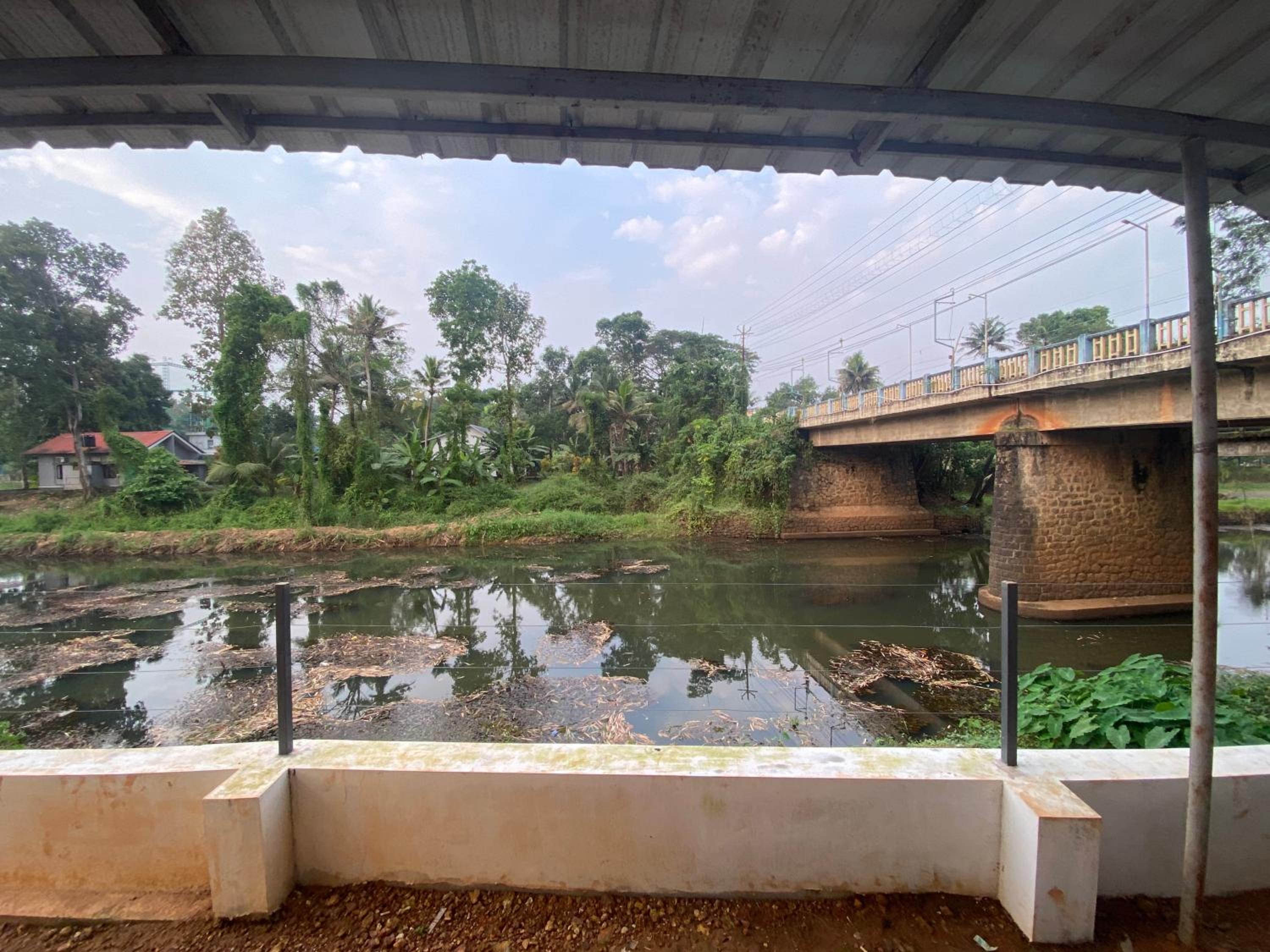 Alappattu meadows