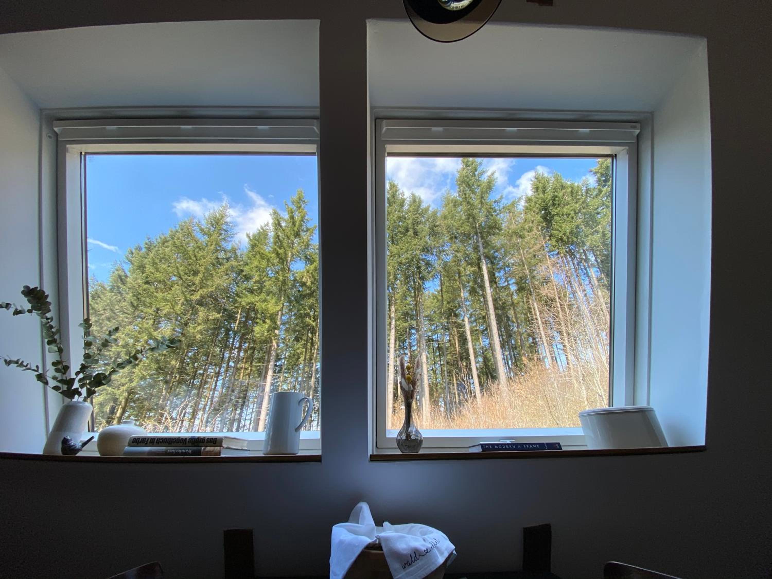 Wald-Chalet Vulkaneifel