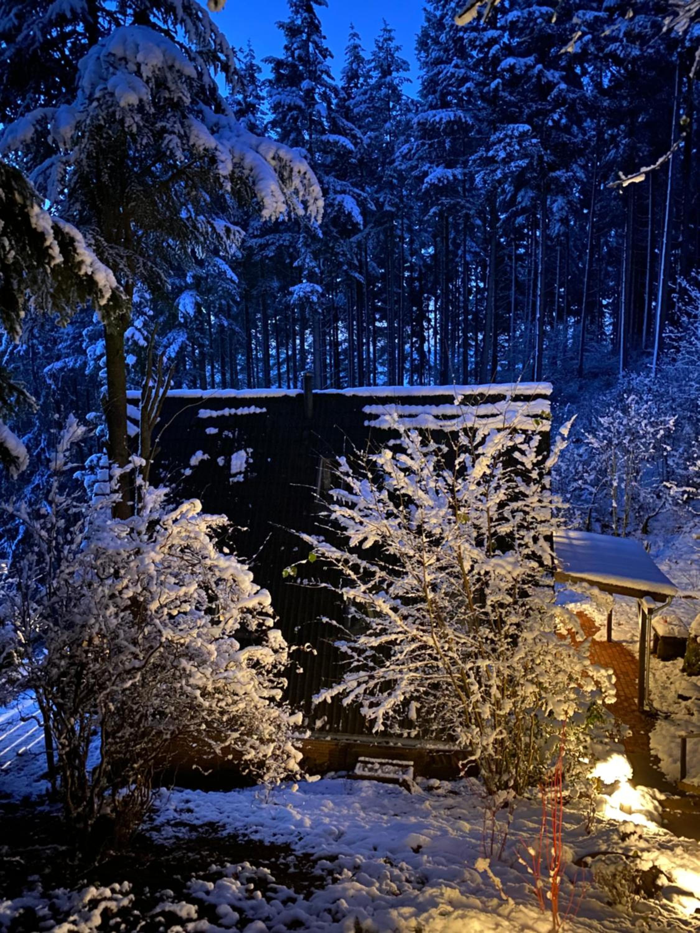 Wald-Chalet Vulkaneifel