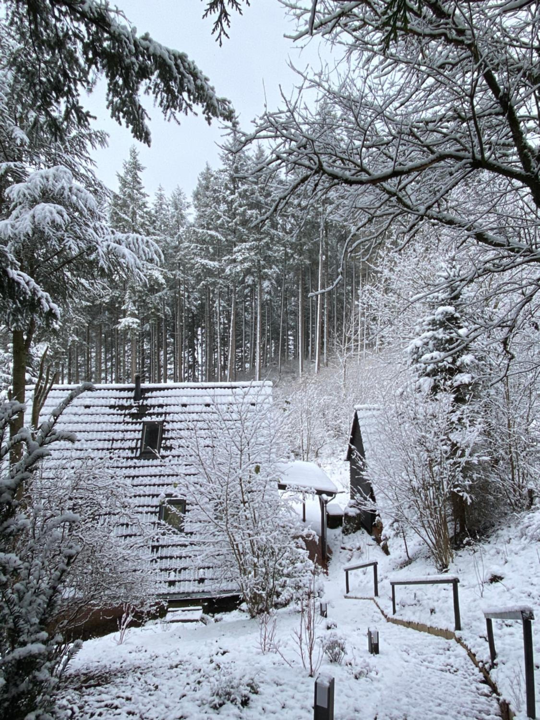 Wald-Chalet Vulkaneifel