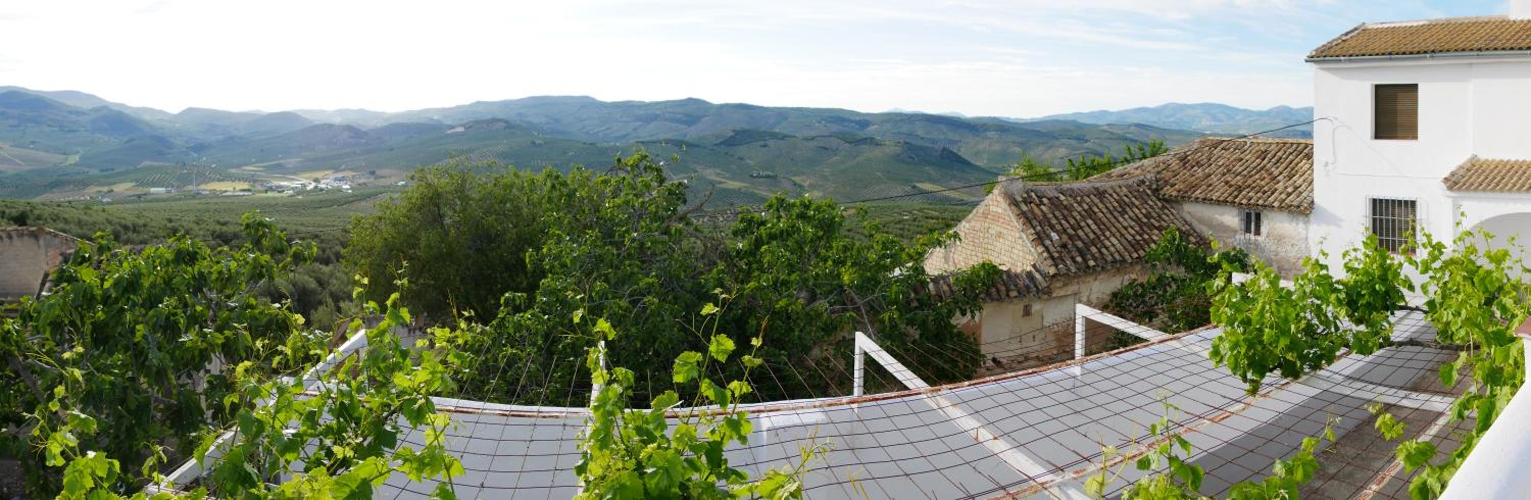 Cortijo Los Liñanes rural con chimenea, barbacoa y vistas