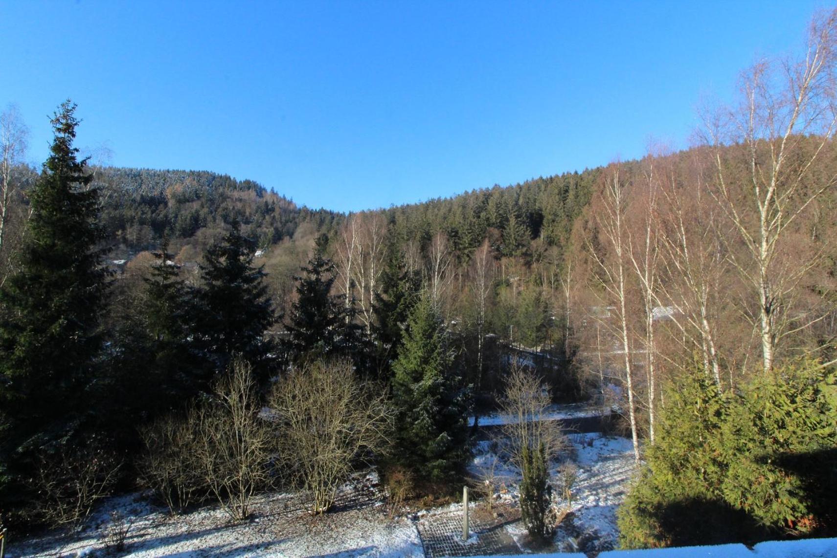 Home-im-Harz