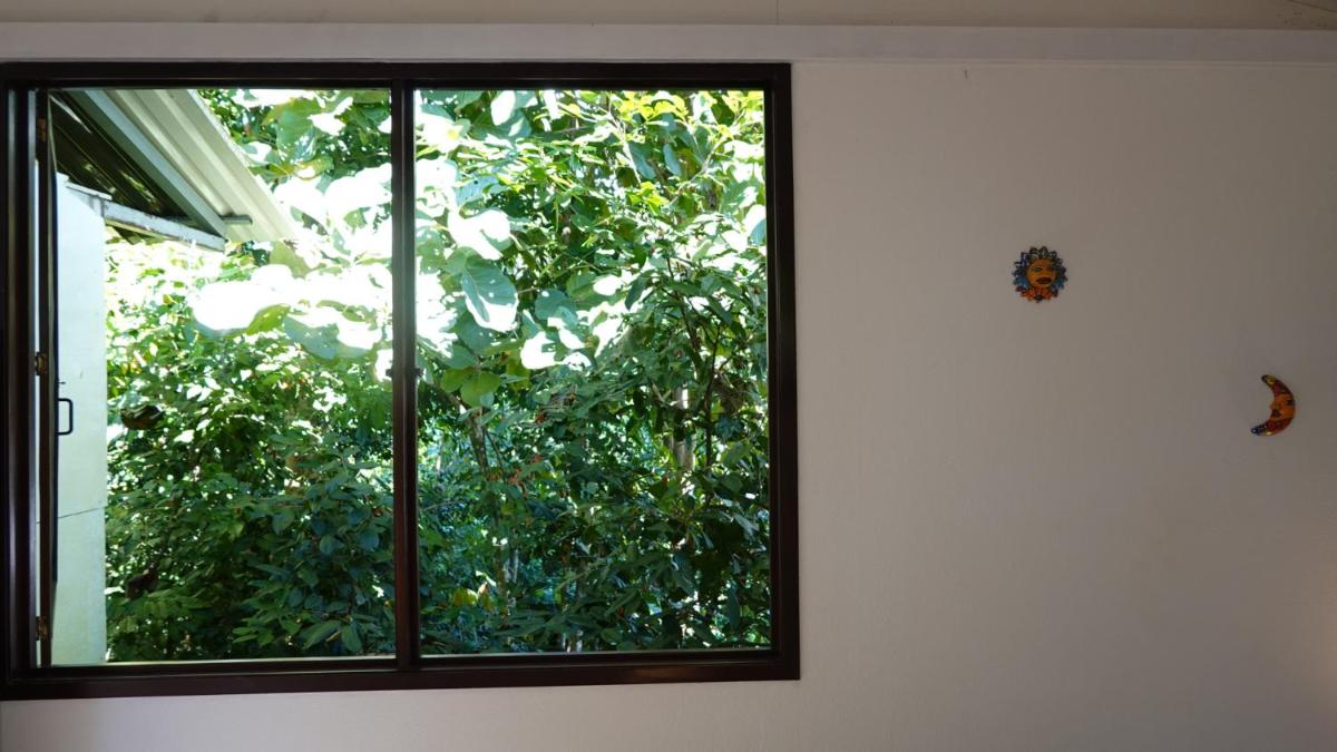 Osa de Rio