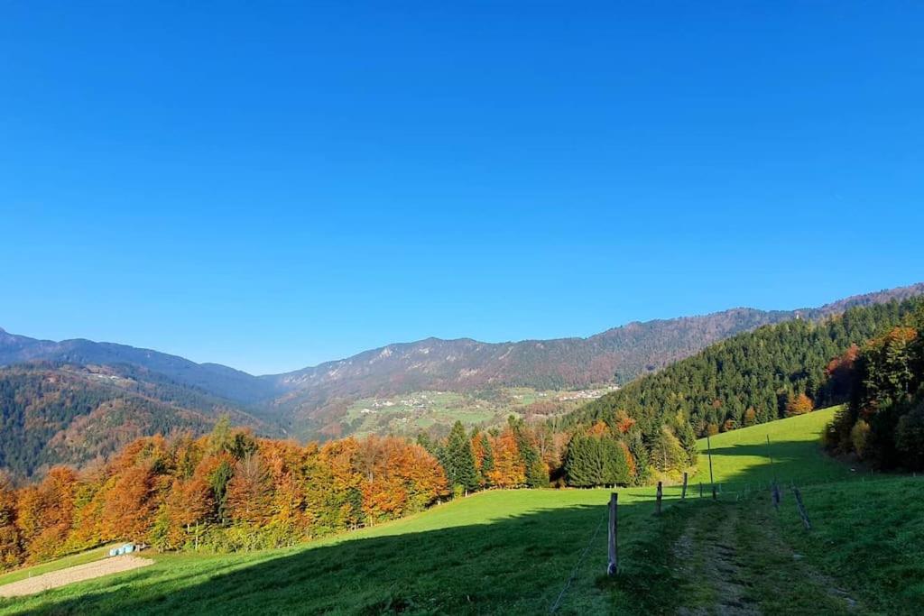 House Pucnk-beautiful countryside view 4