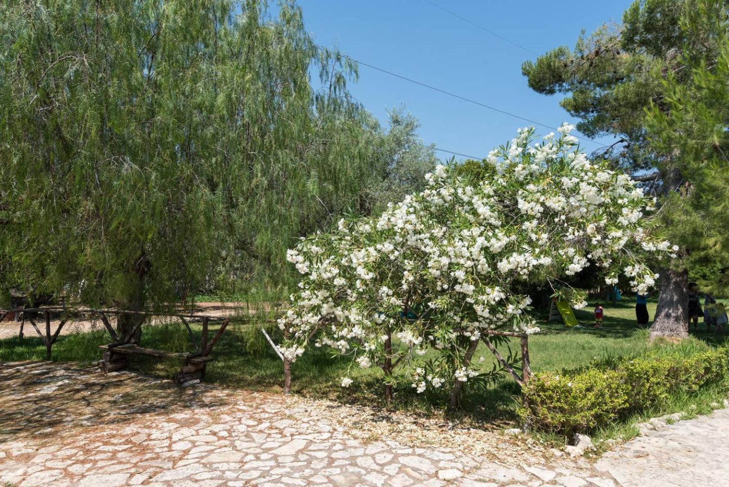 Agriturismo Terra Di Pace