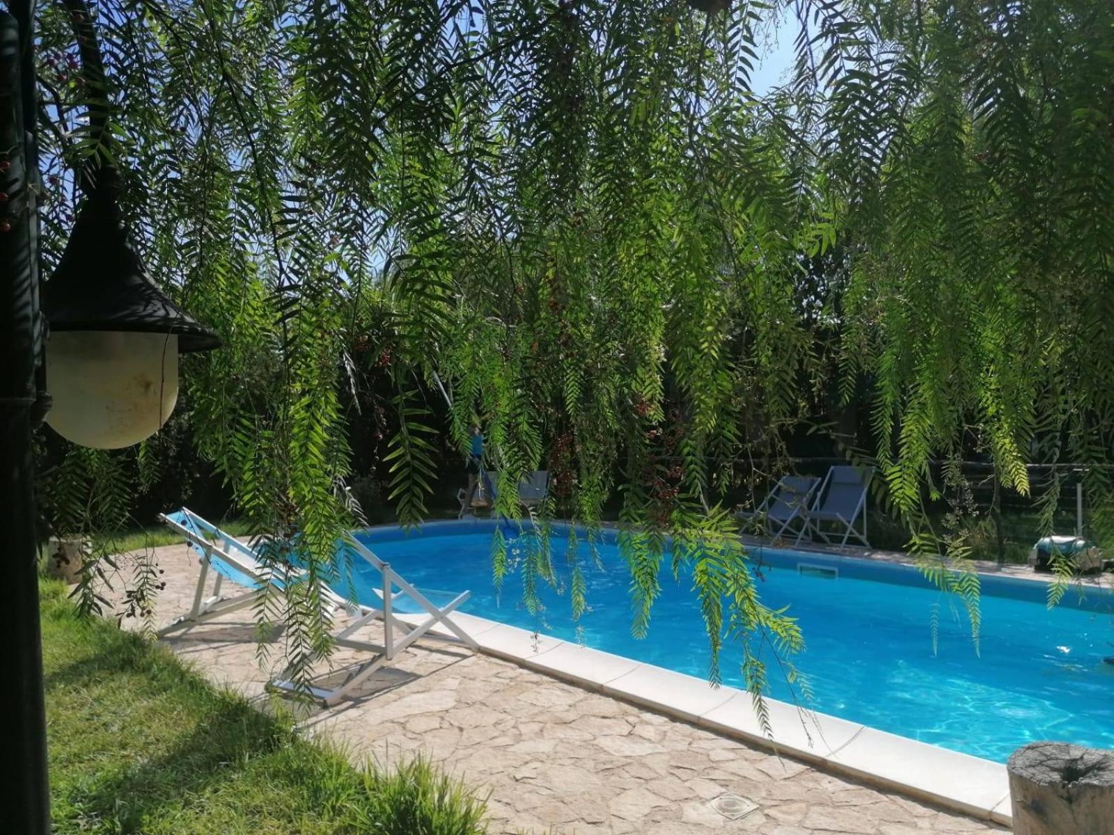 Agriturismo Terra Di Pace