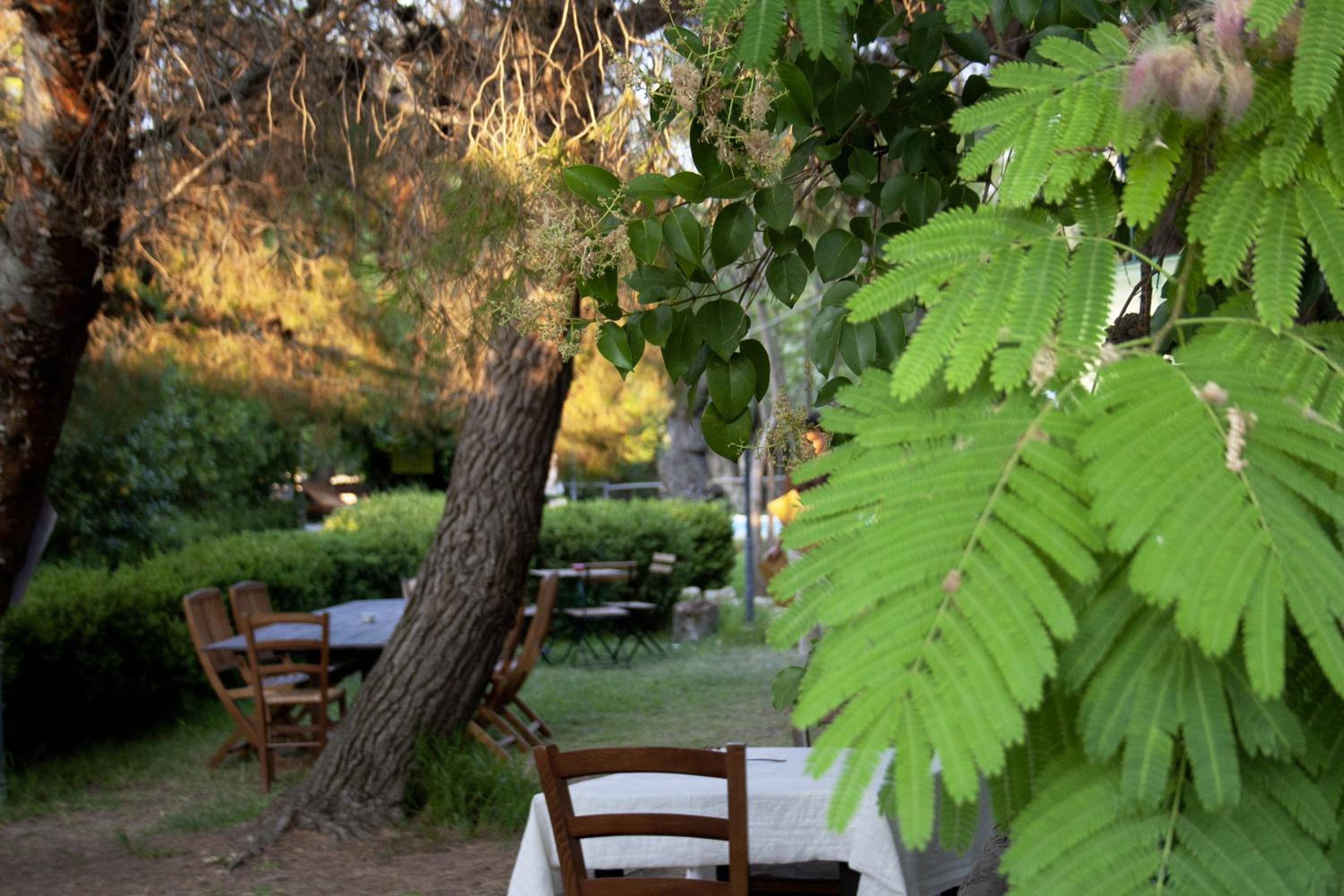Agriturismo Terra Di Pace