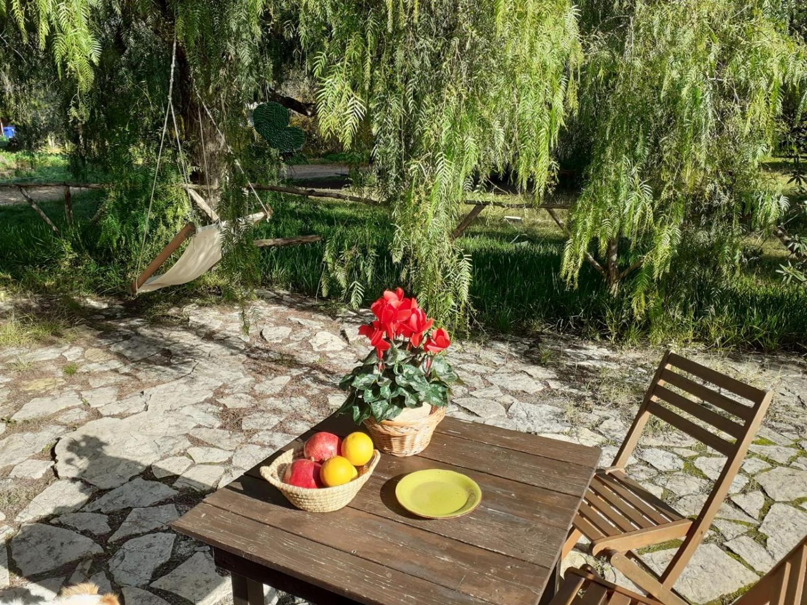 Agriturismo Terra Di Pace