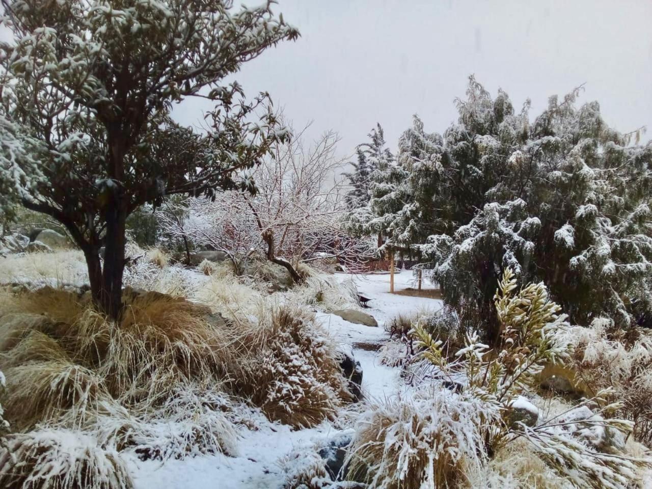 OASIS DEL VALLE DEL ELQUI