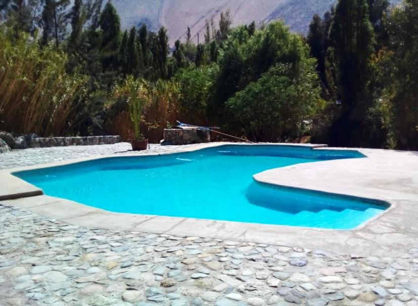 OASIS DEL VALLE DEL ELQUI