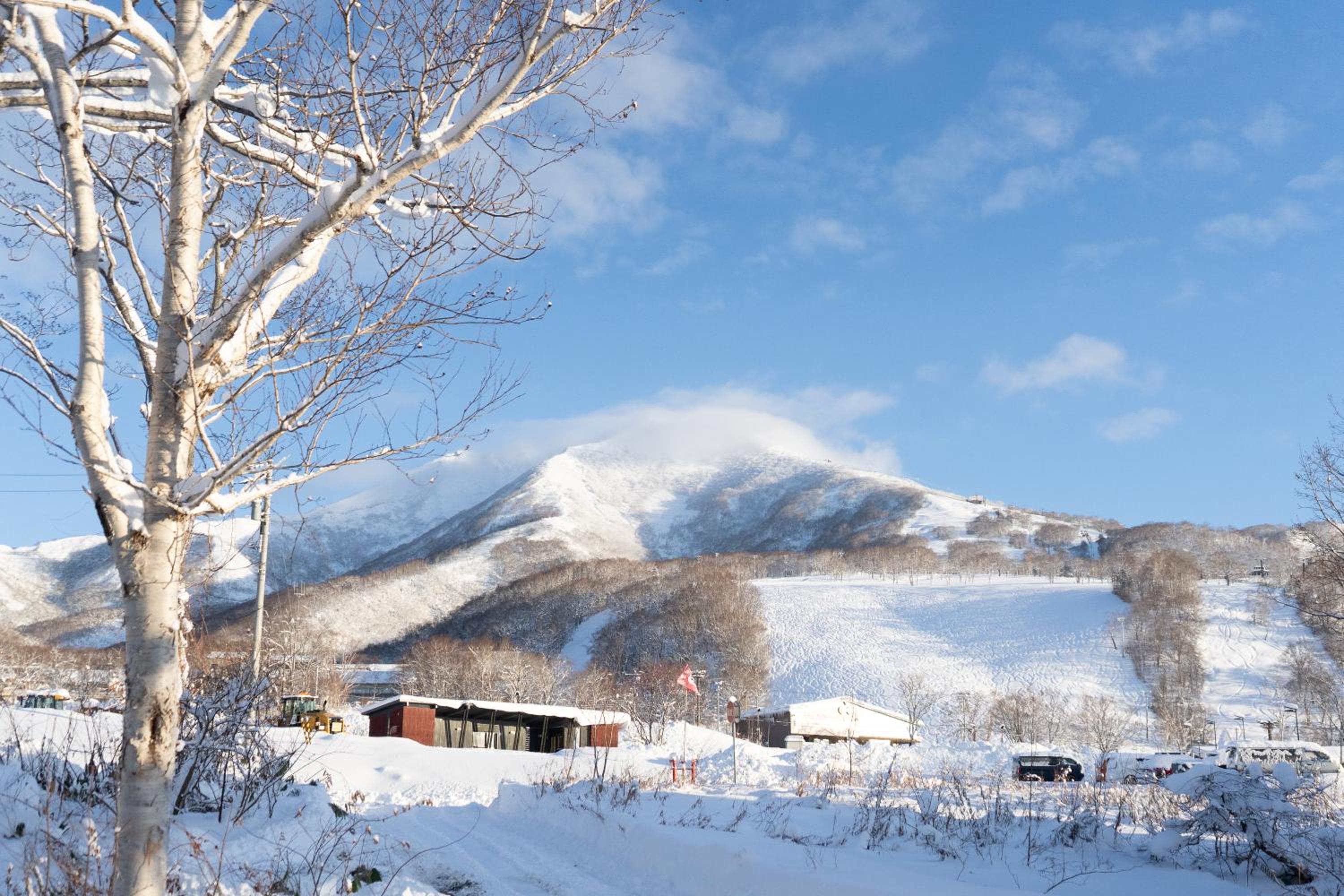 Alpenglow Lodges Ginkei - Image 5
