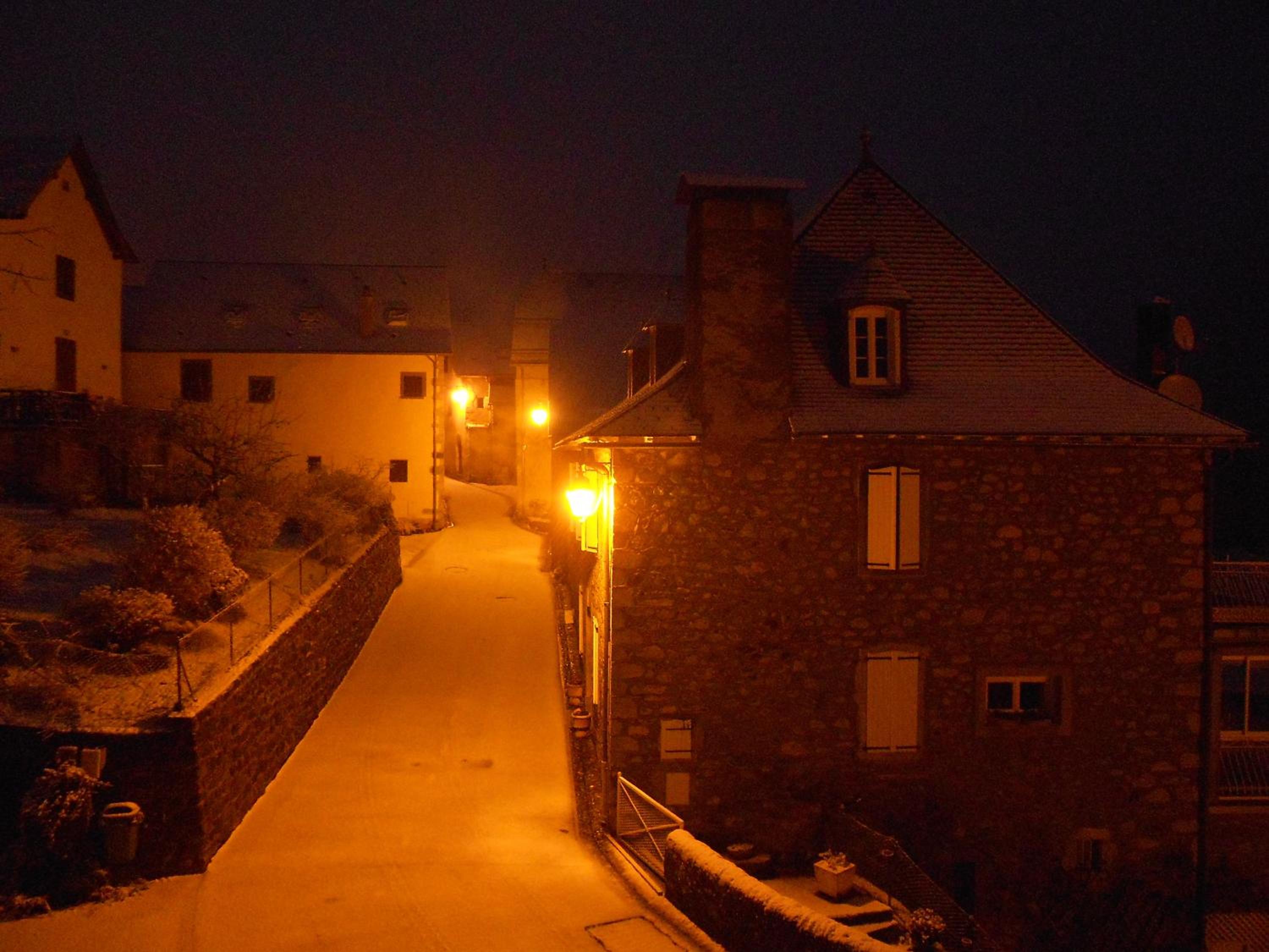 Photo 50