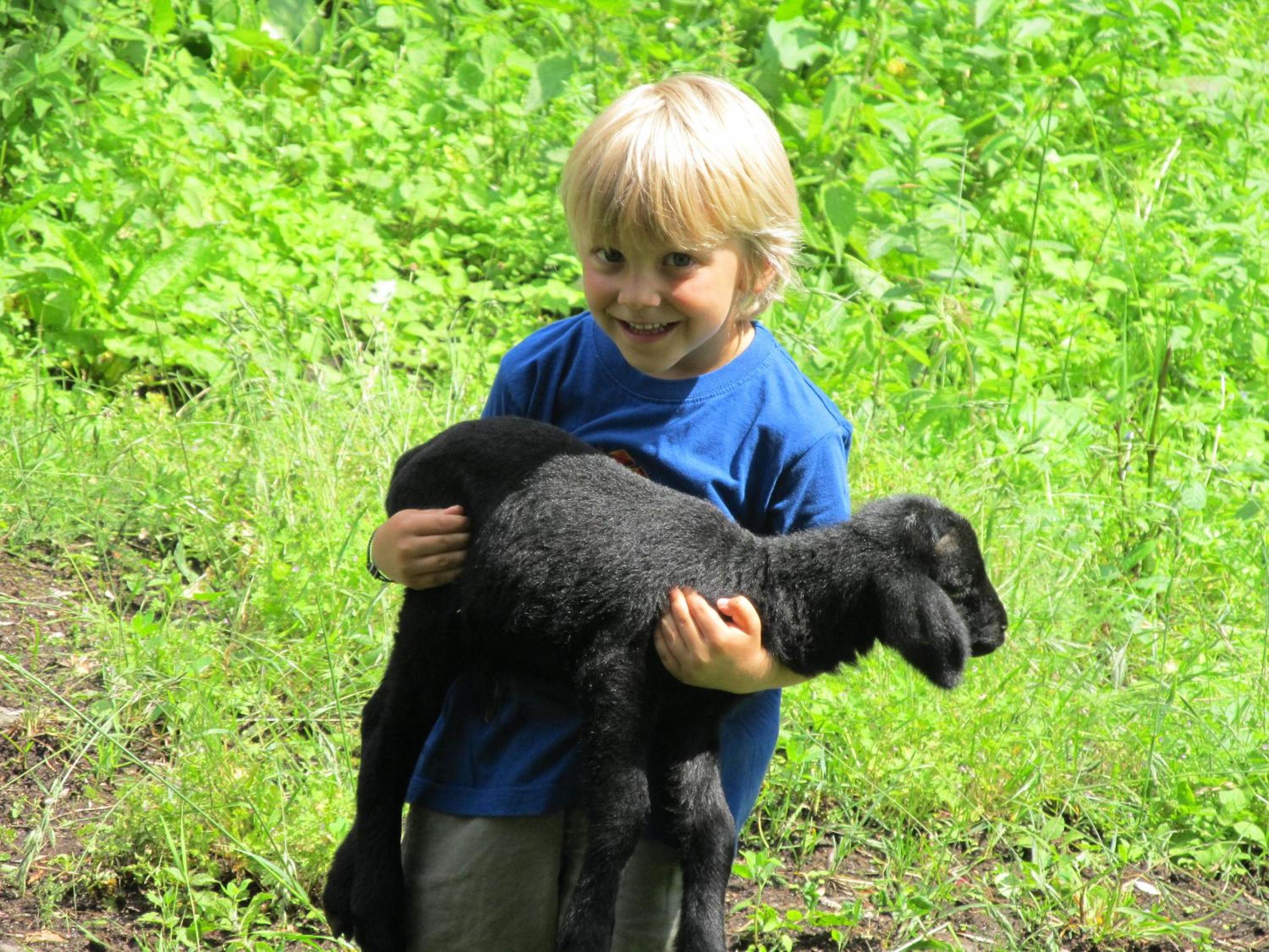 Photo 41