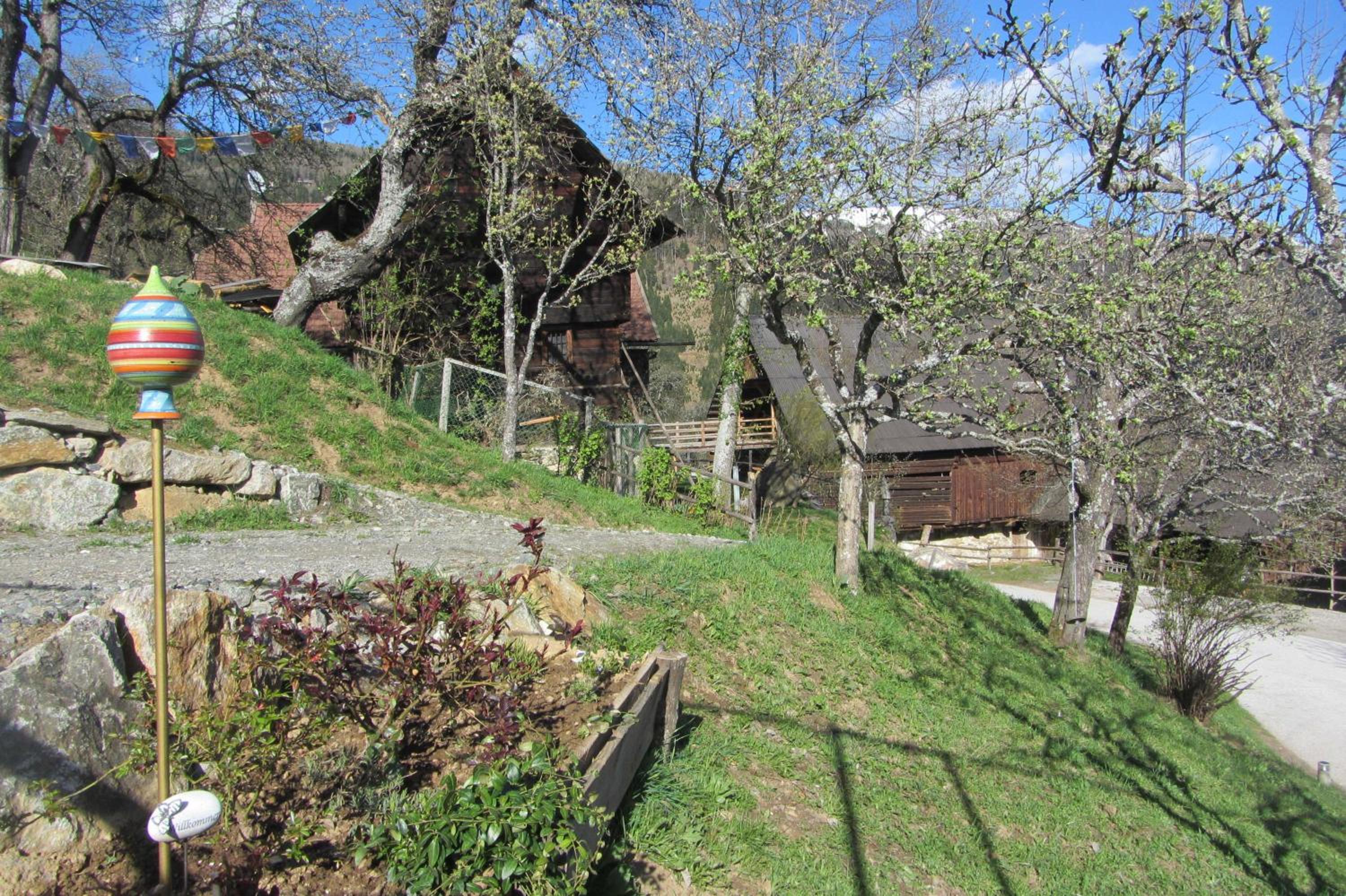 Photo 33