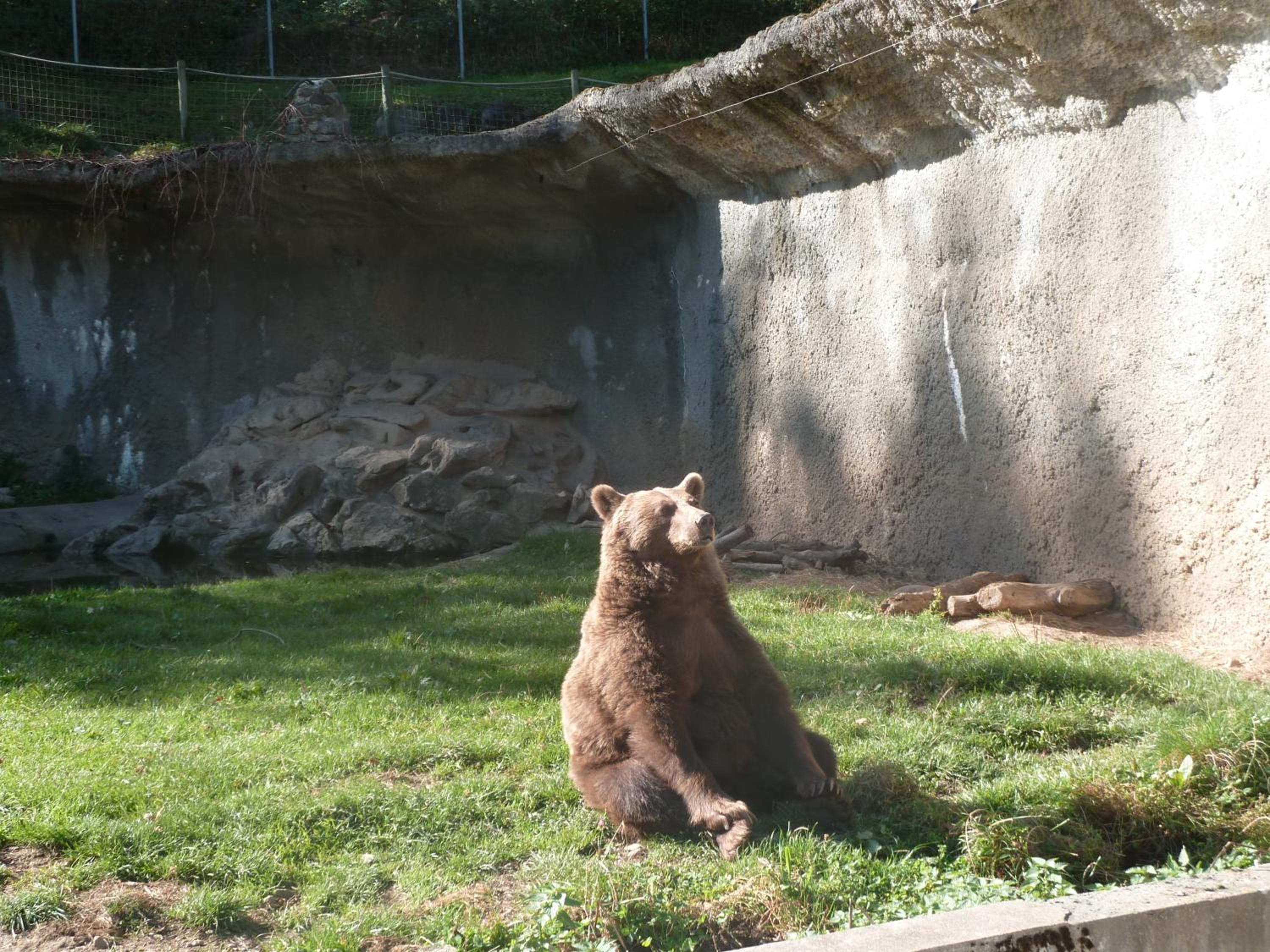 Photo 44