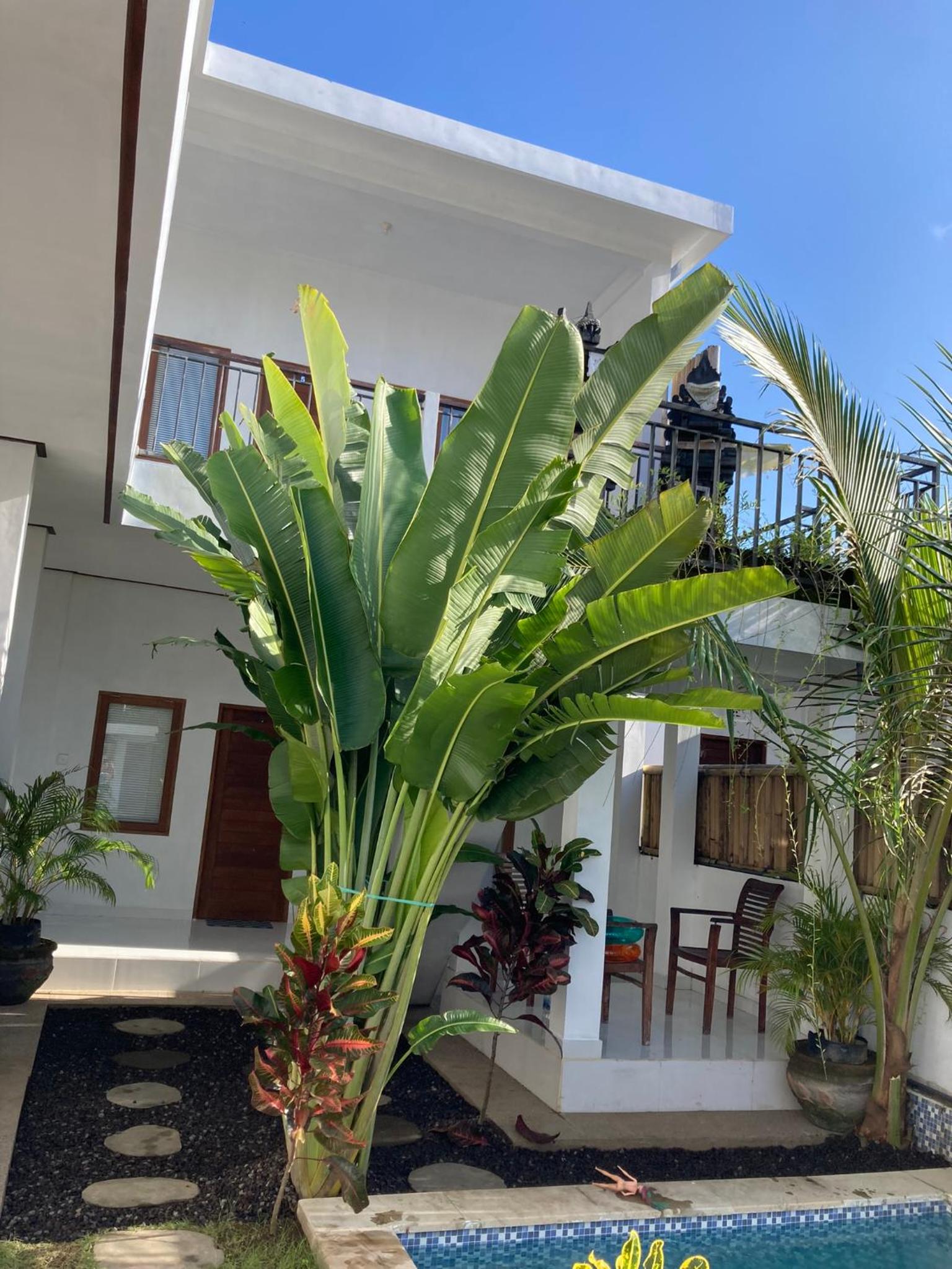 Villa iris Homestay