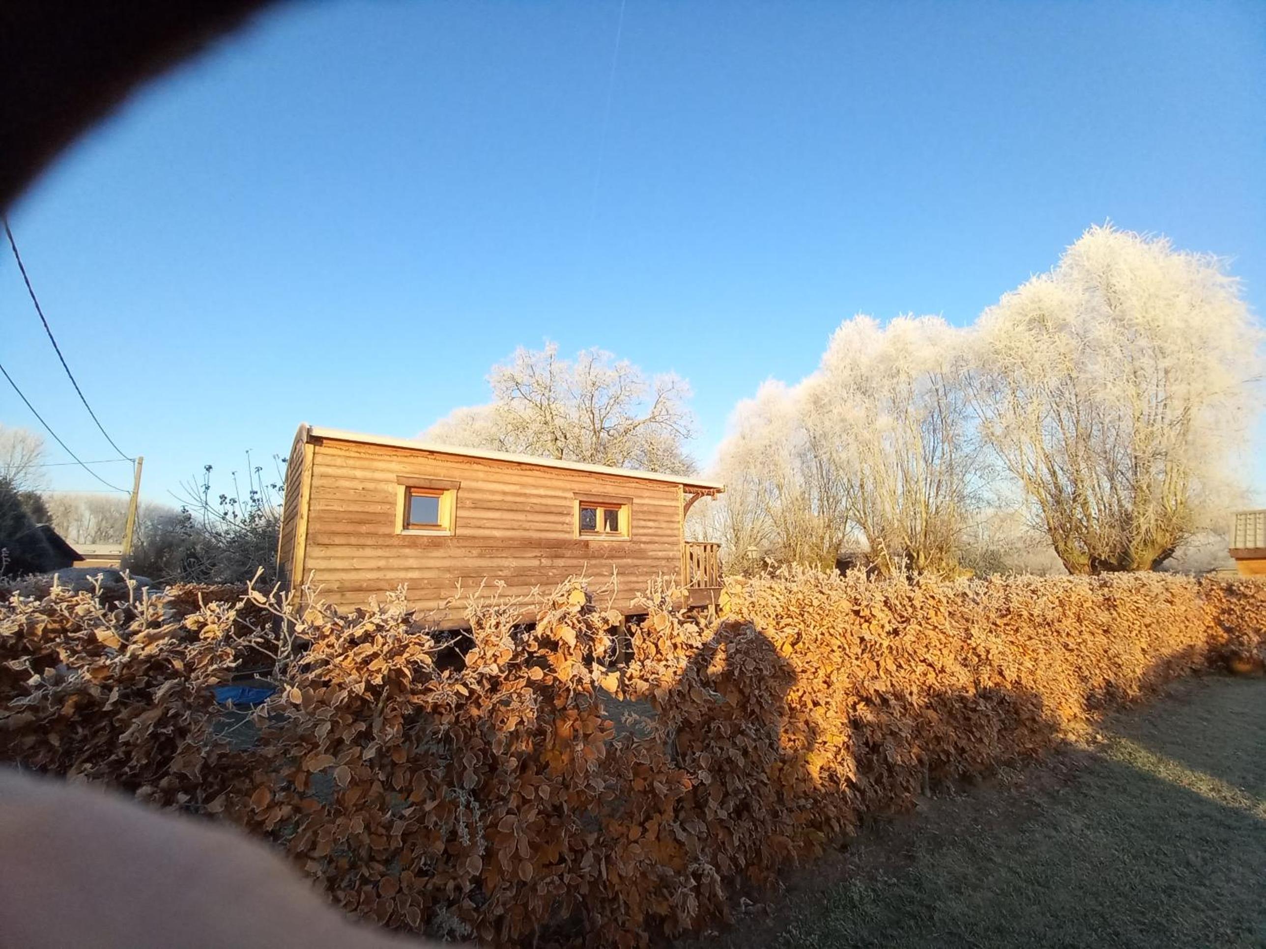 Photo 23