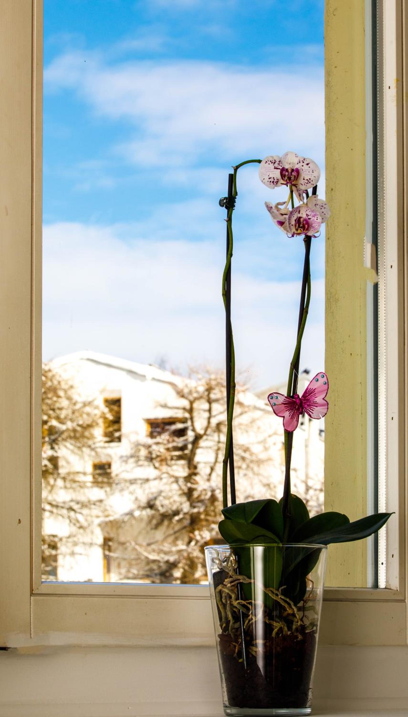 Zentrum Haus Davos
