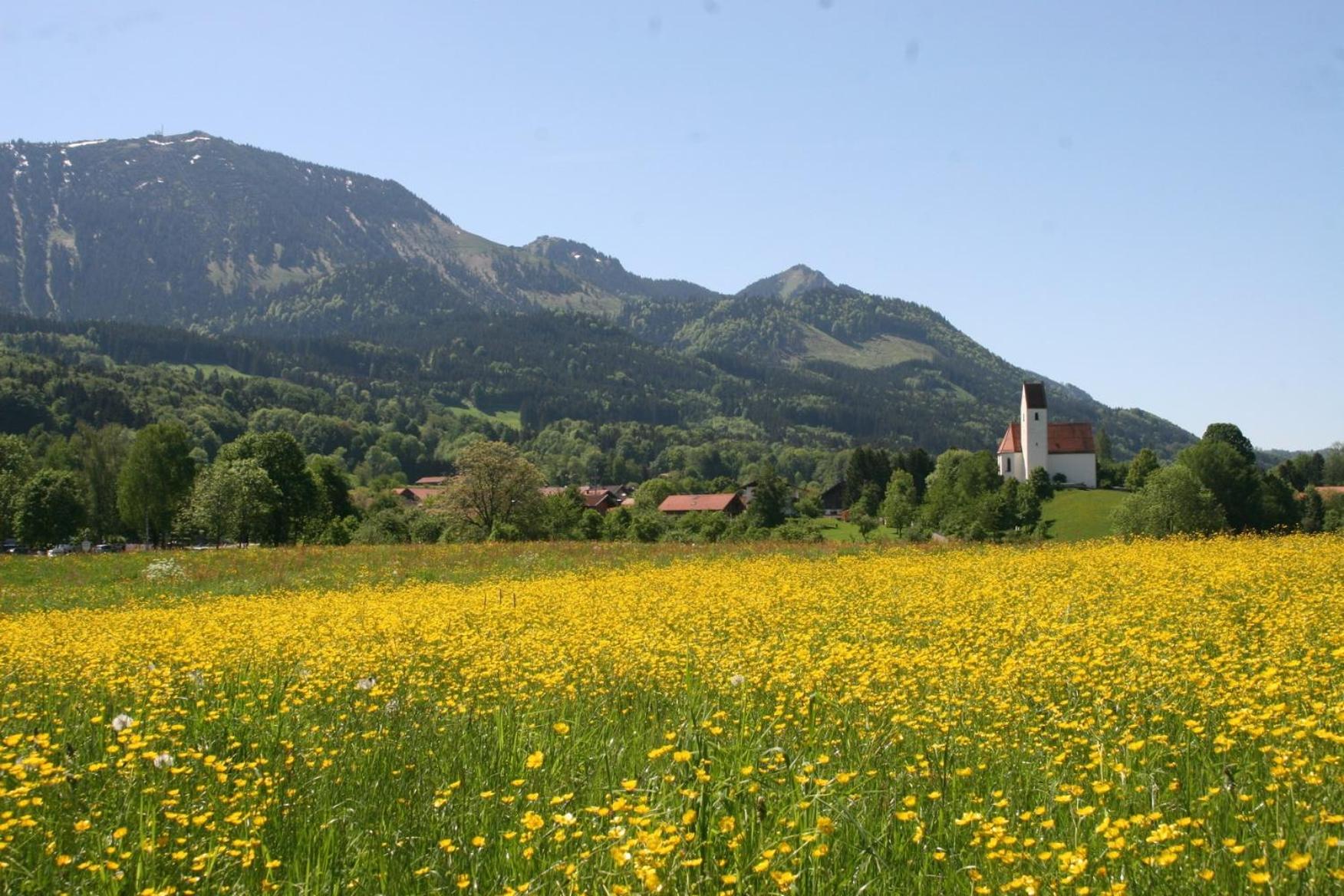 Ferienhaus Luise