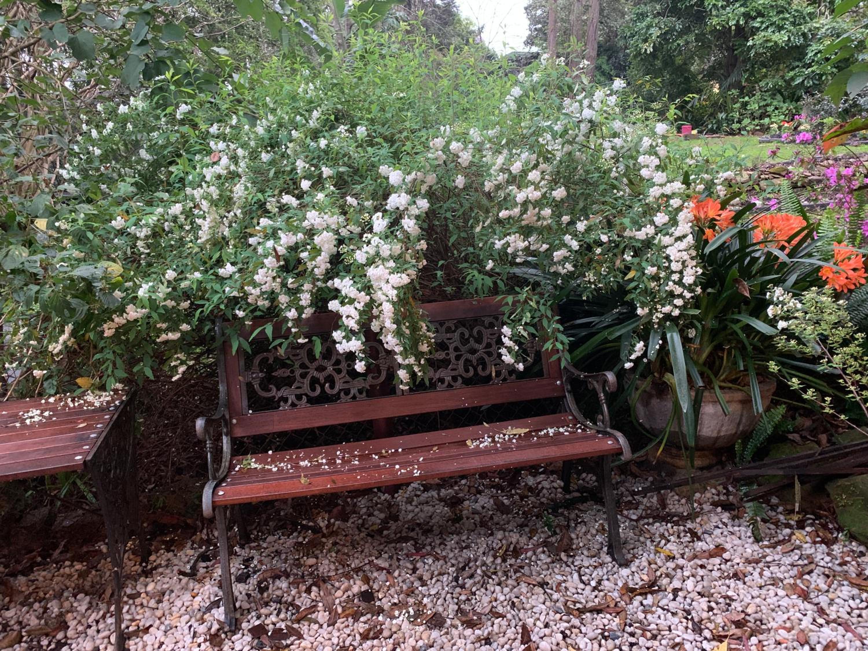 Garden studio