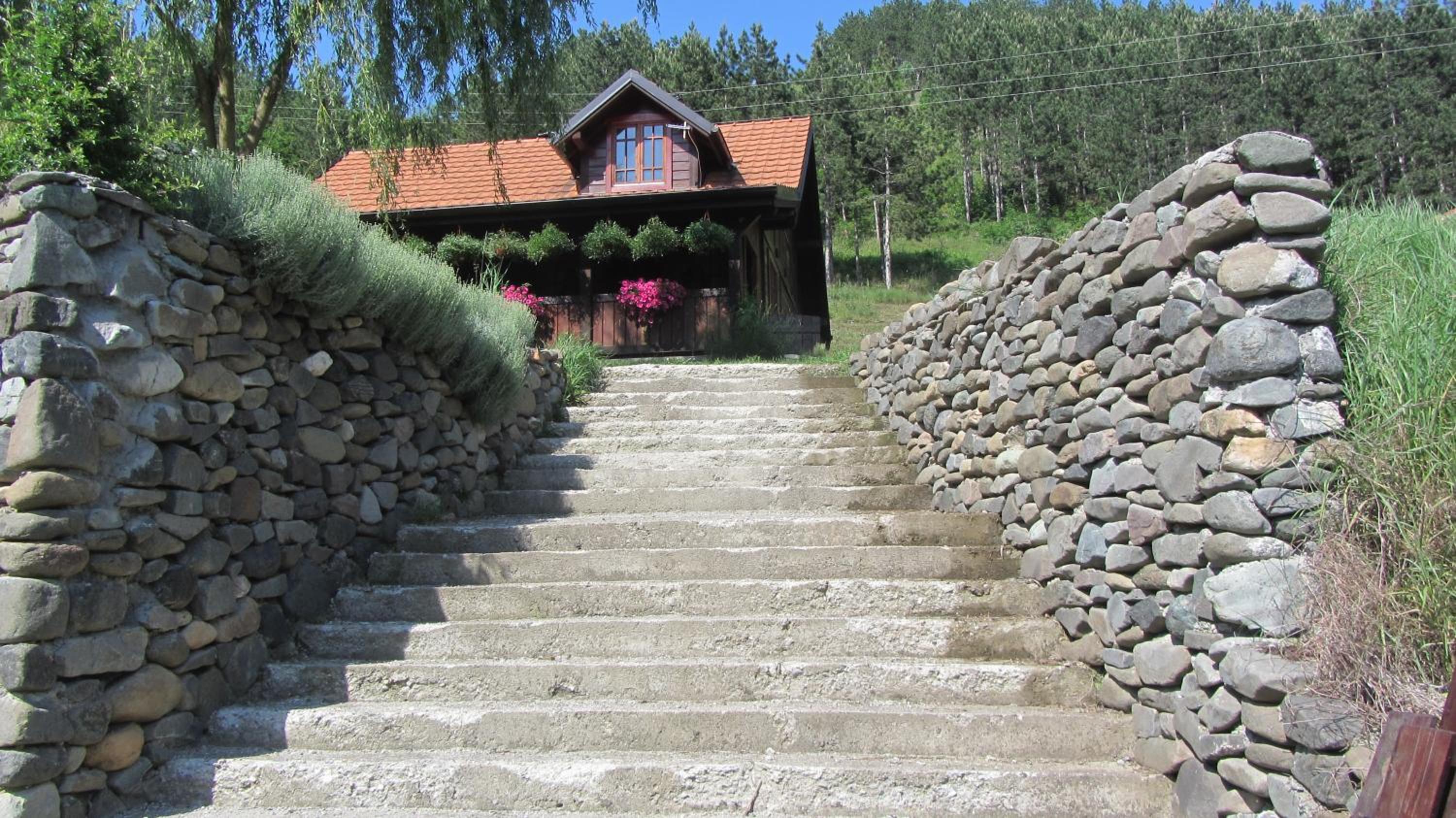 Photo 14