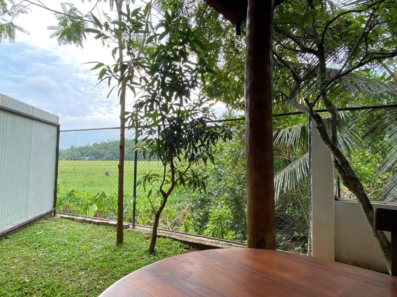 Jungle And Feild View Private Villa view 4