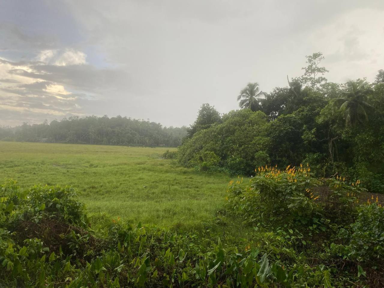 Jungle And Feild View Private Villa view 3